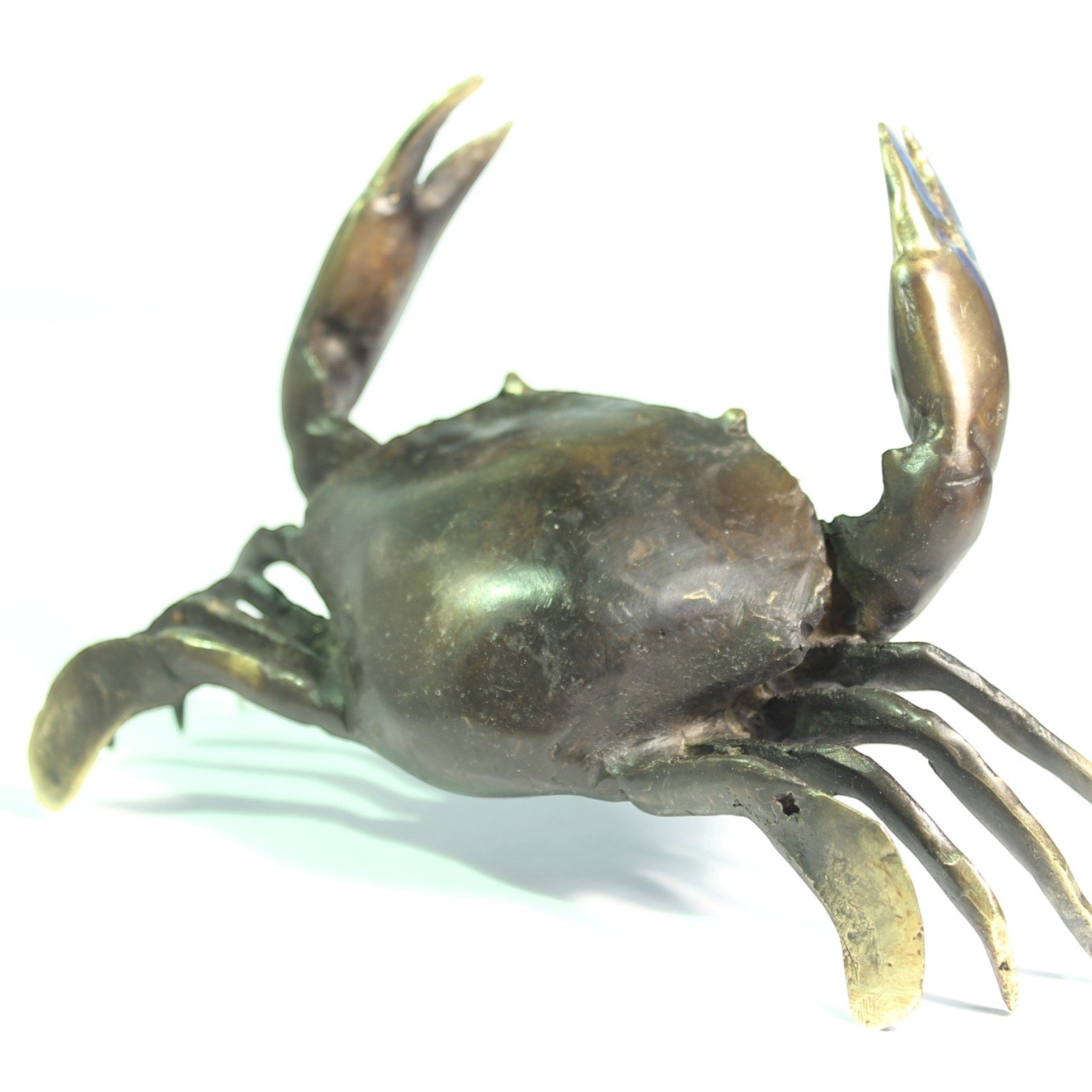 Top-down close view of the crab's shell and claw detail in black oxidized brass