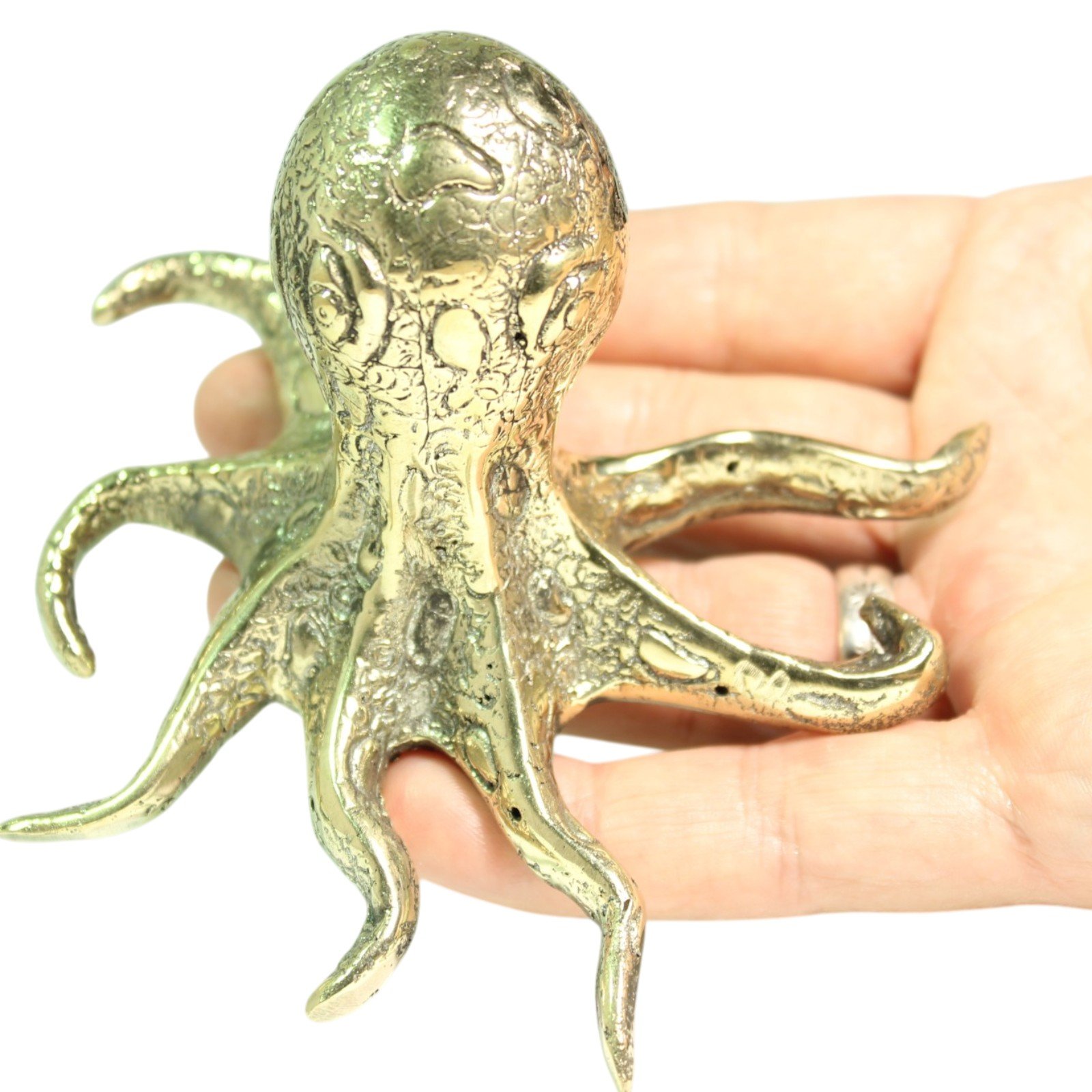Macro shot of the brass octopus eye and skin texture from lost-wax casting