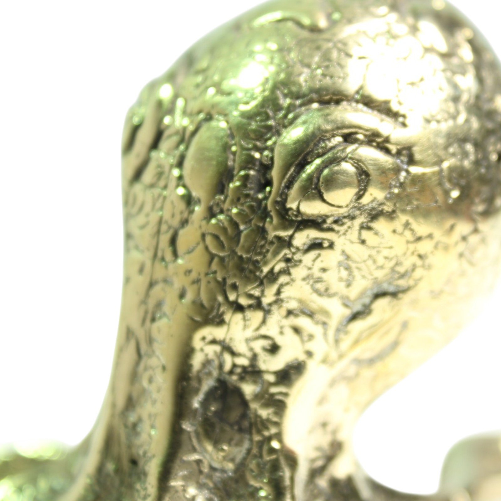 Extreme close-up of the octopus head showing engraved texture and eye detail in brass