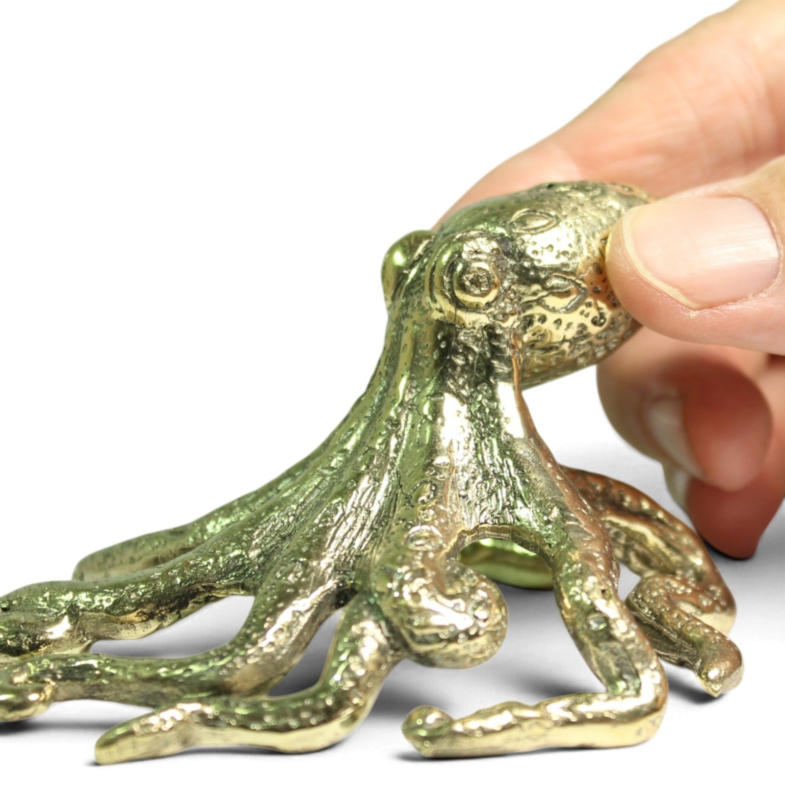 Close-up side view of brass octopus figurine's small head and curled tentacles