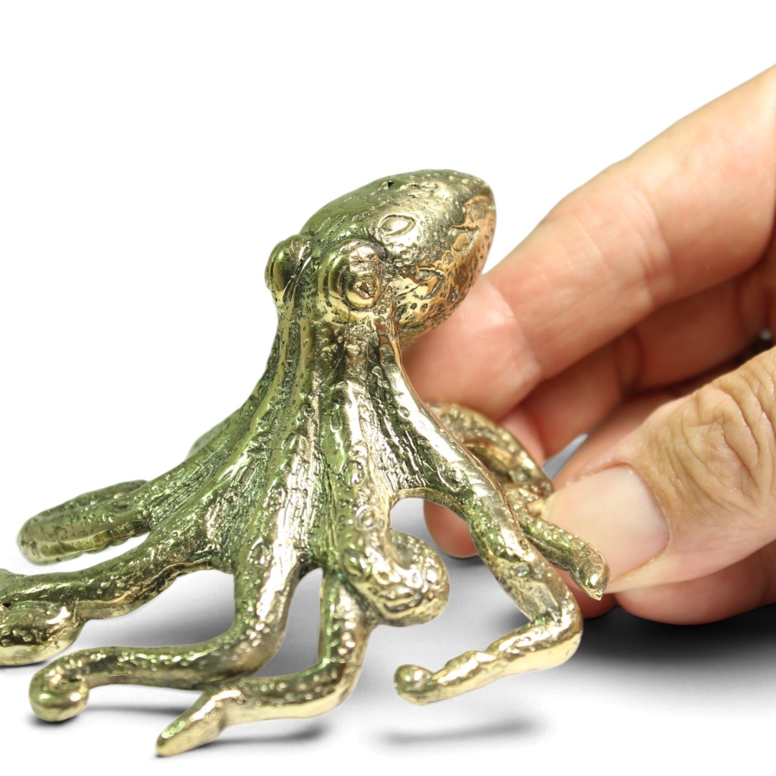 Close-up side view of brass octopus figurine's small head and curled tentacles