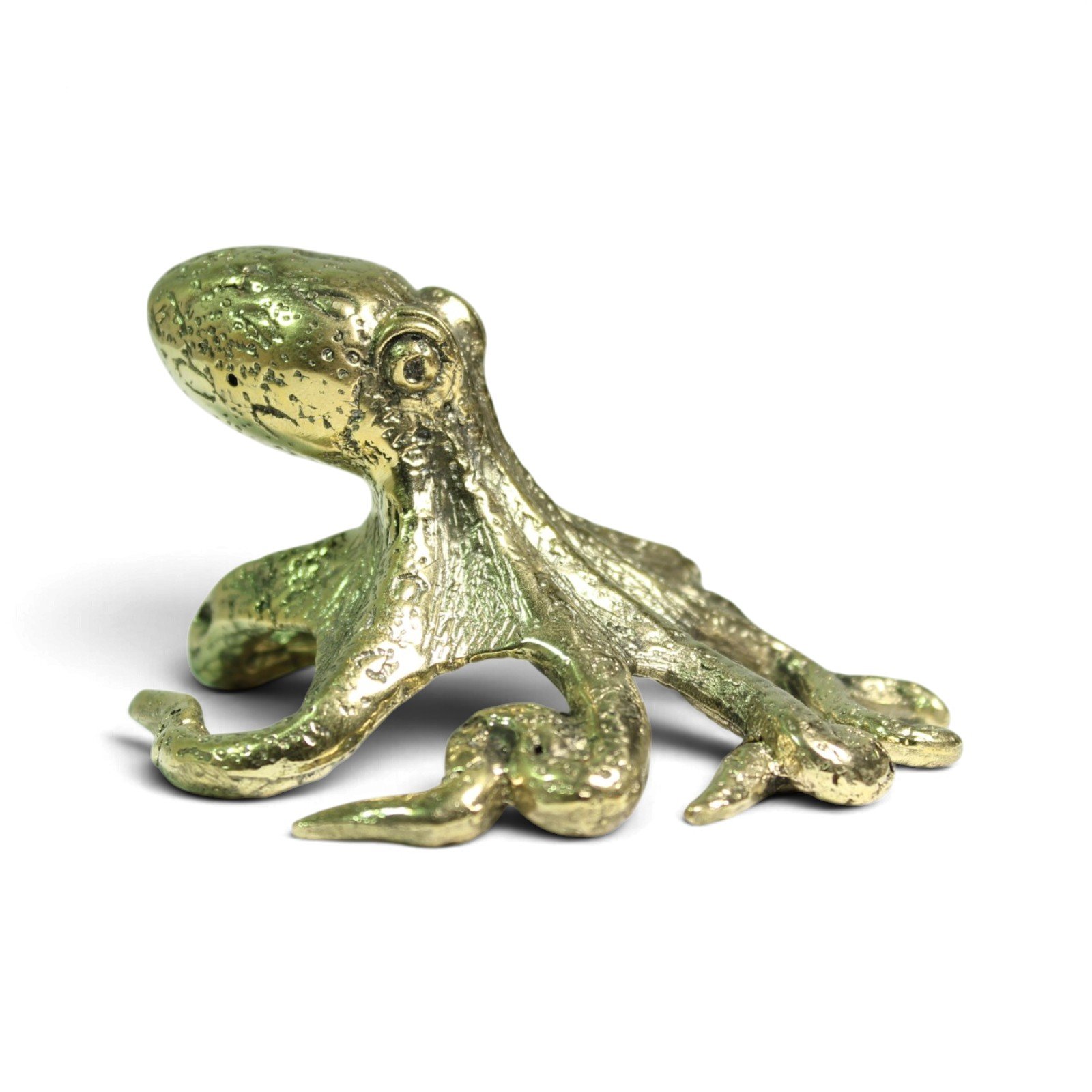 Detail shot of brass octopus head showing cast eye and textured skin