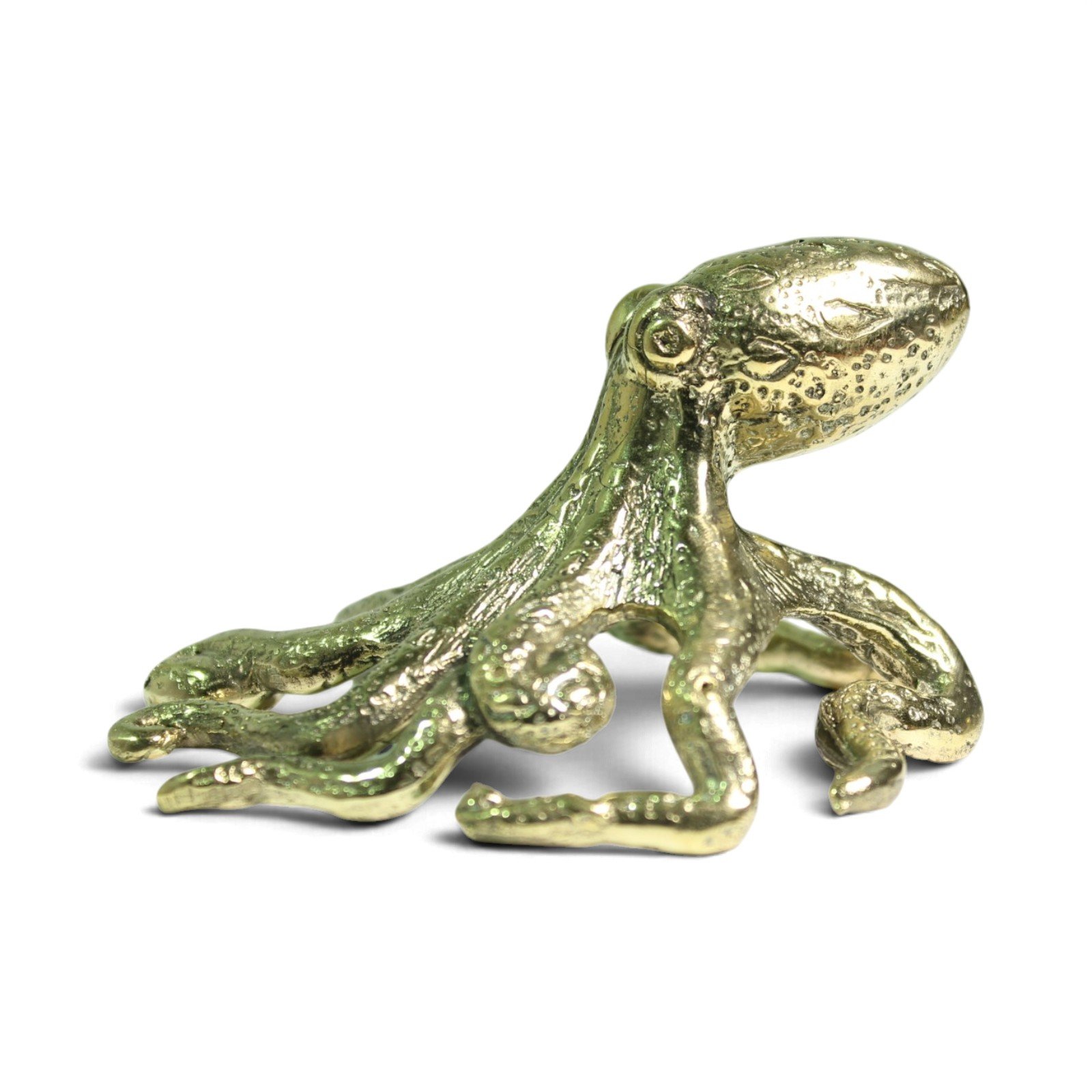 Close-up side view of brass octopus figurine's small head and curled tentacles