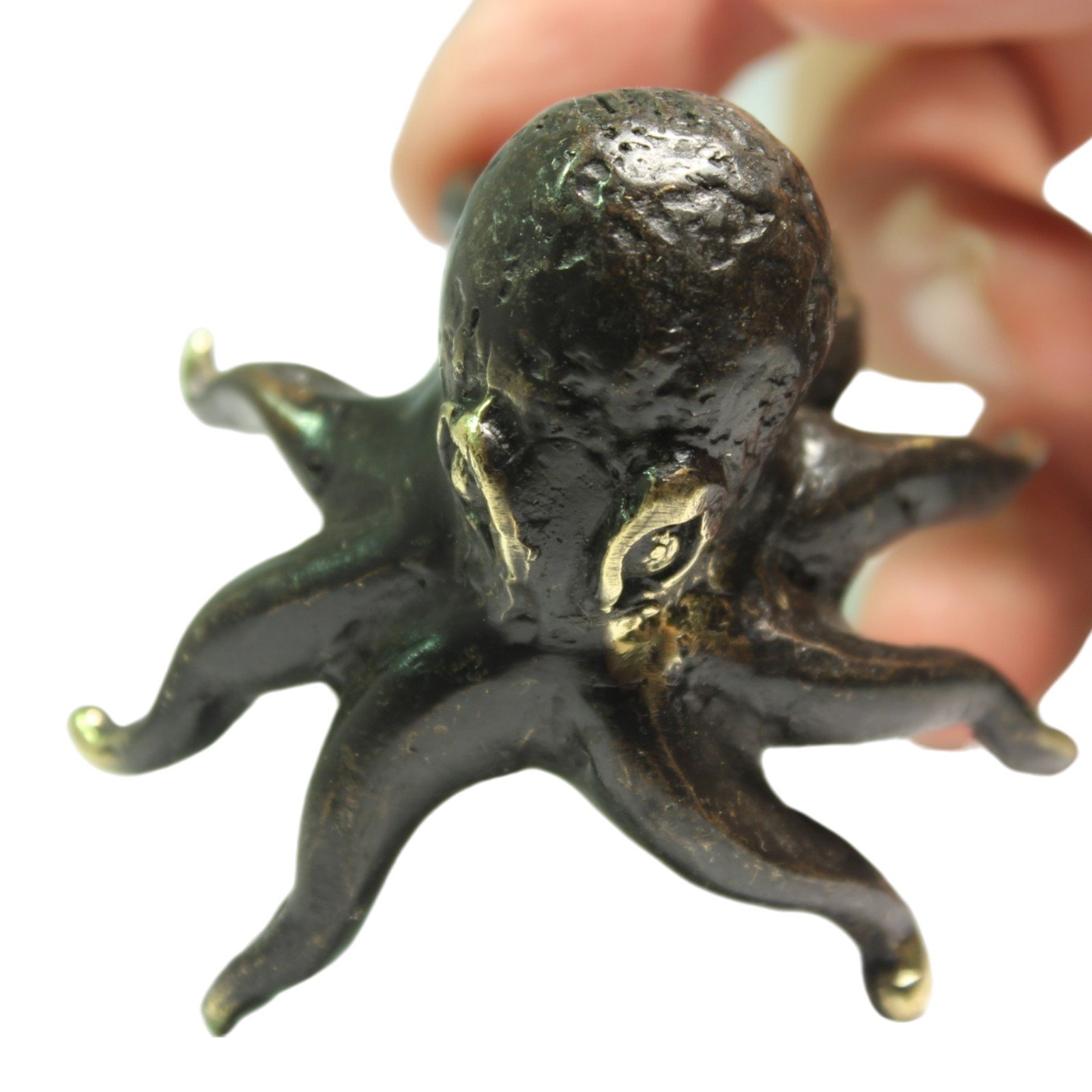Close-up of octopus eye detail showing brass showing through oxidized finish