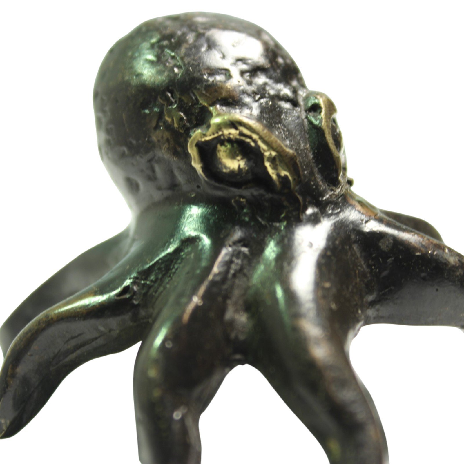 Close-up detail of the octopus head texture and eye casting