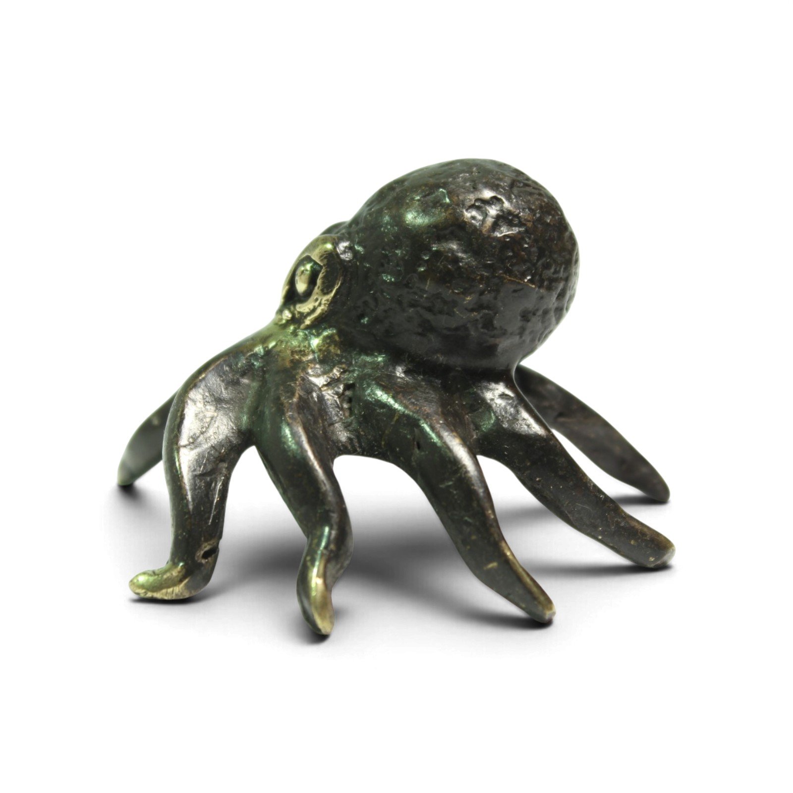 Close view of octopus head and legs from a low front angle