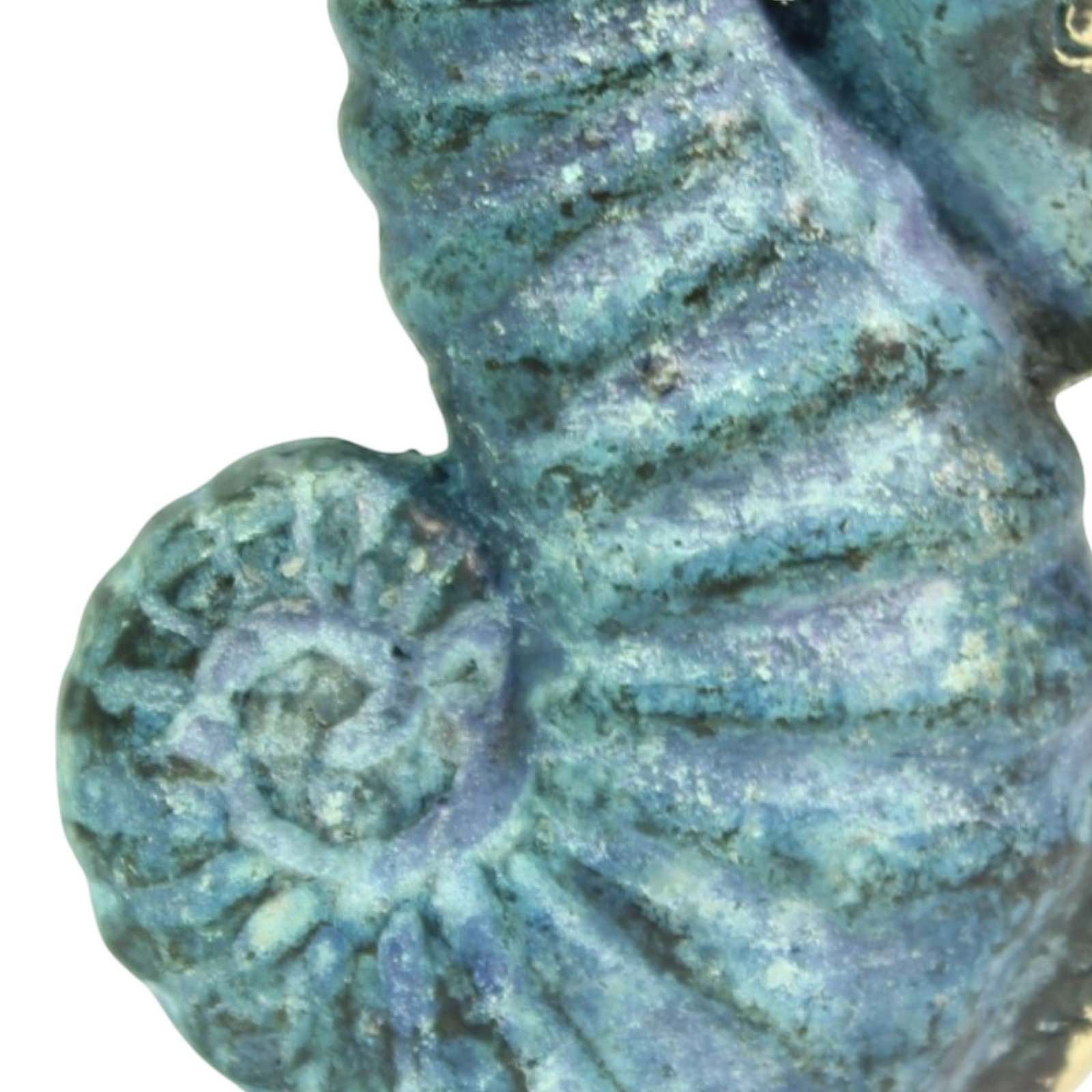 Close-up of the seahorse's spiraled tail showing detailed verdigris texture