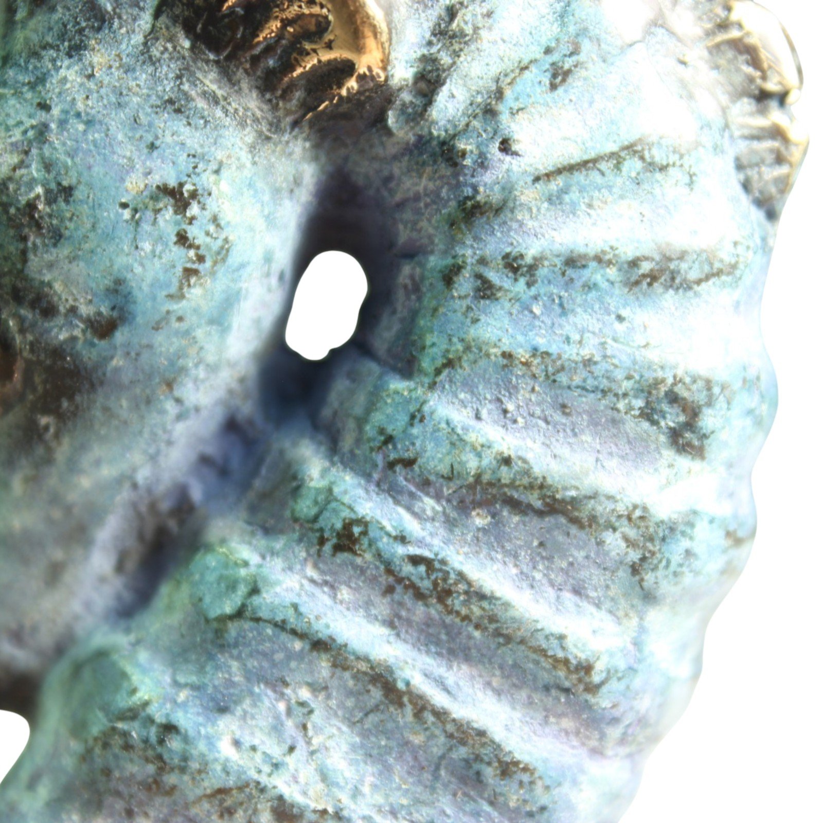 Close-up of small hole and ridged texture on the seahorse's neck area
