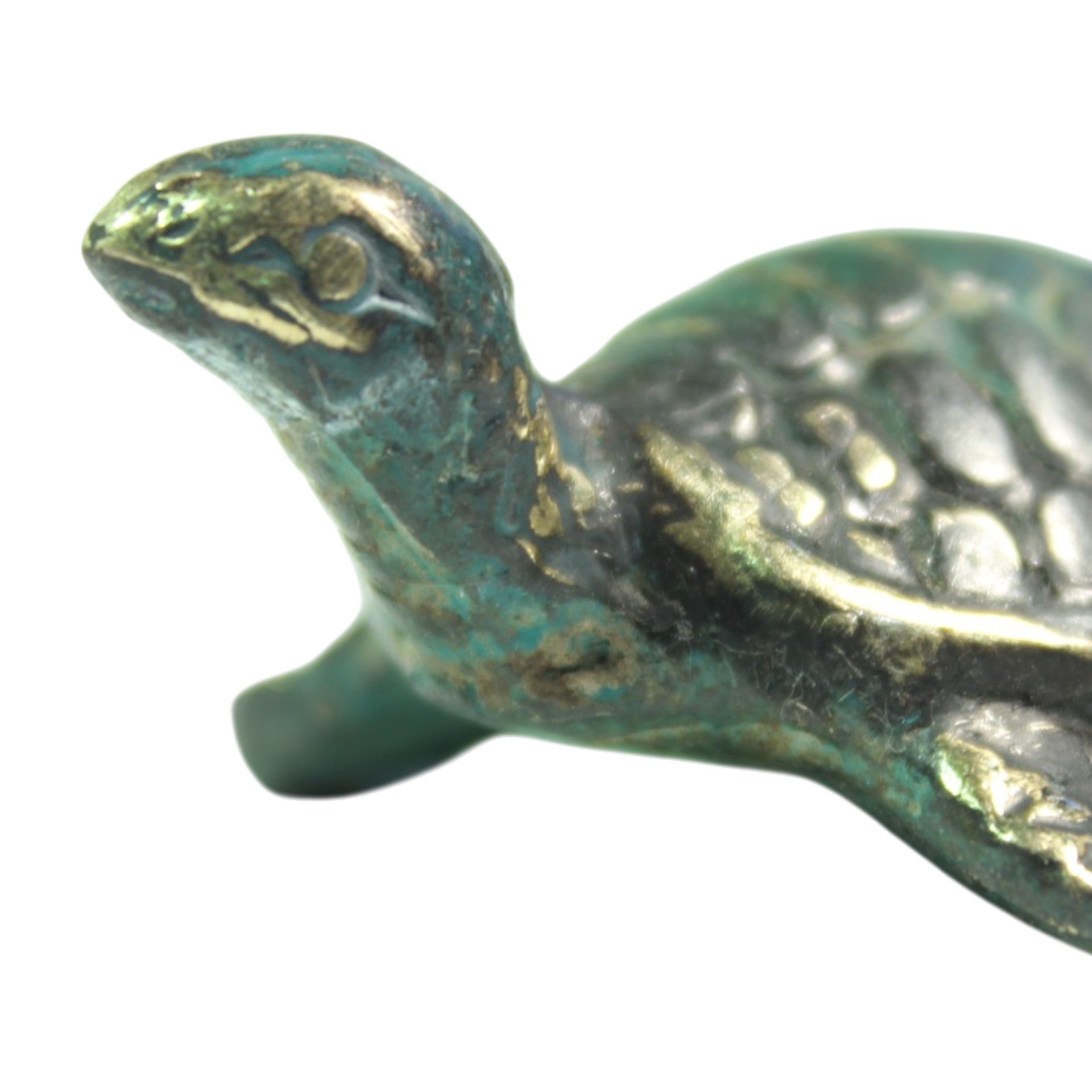 Extreme close-up of turtle's face showing hand-finished brass texture