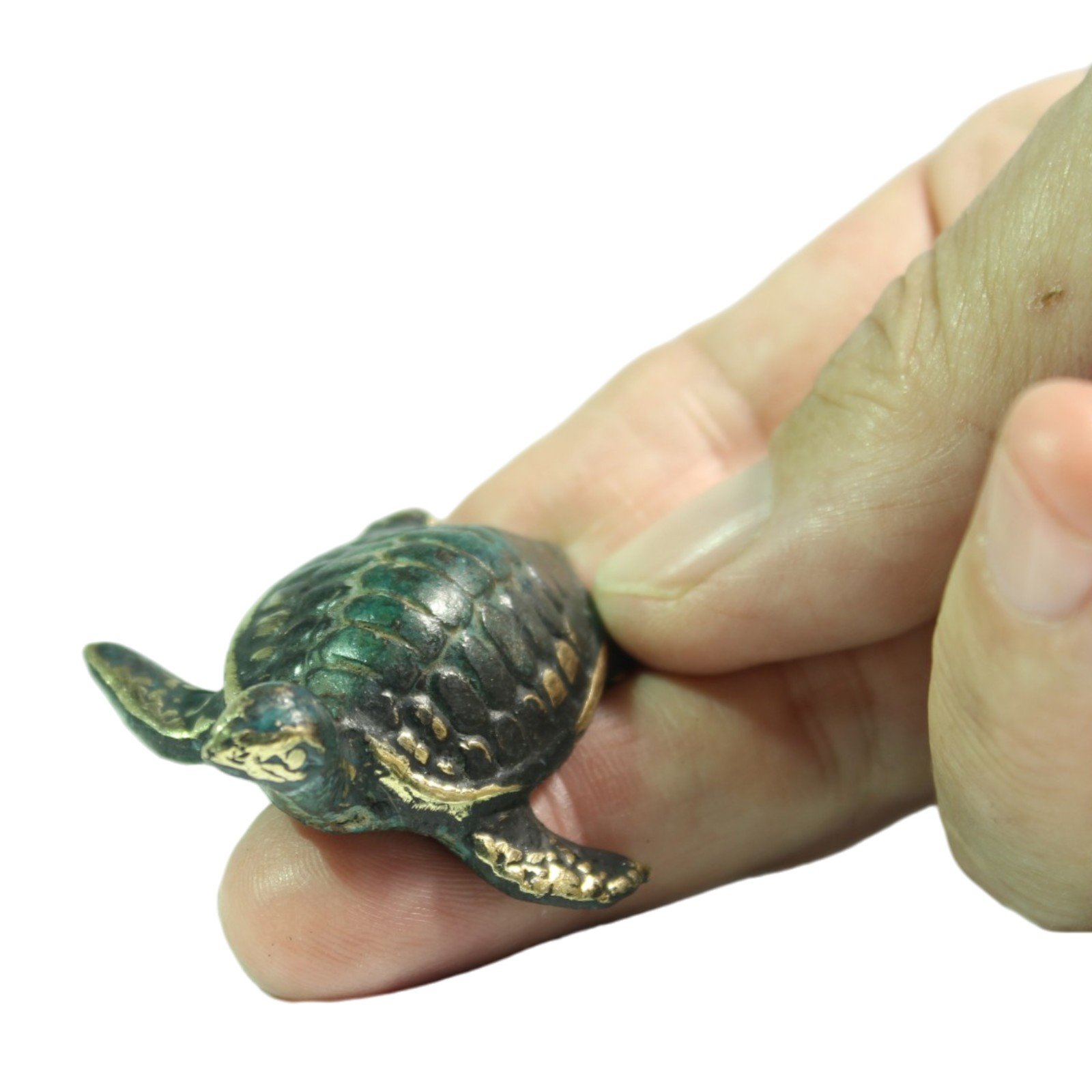 Close-up of brass turtle held in hand showing patina and gold detailing