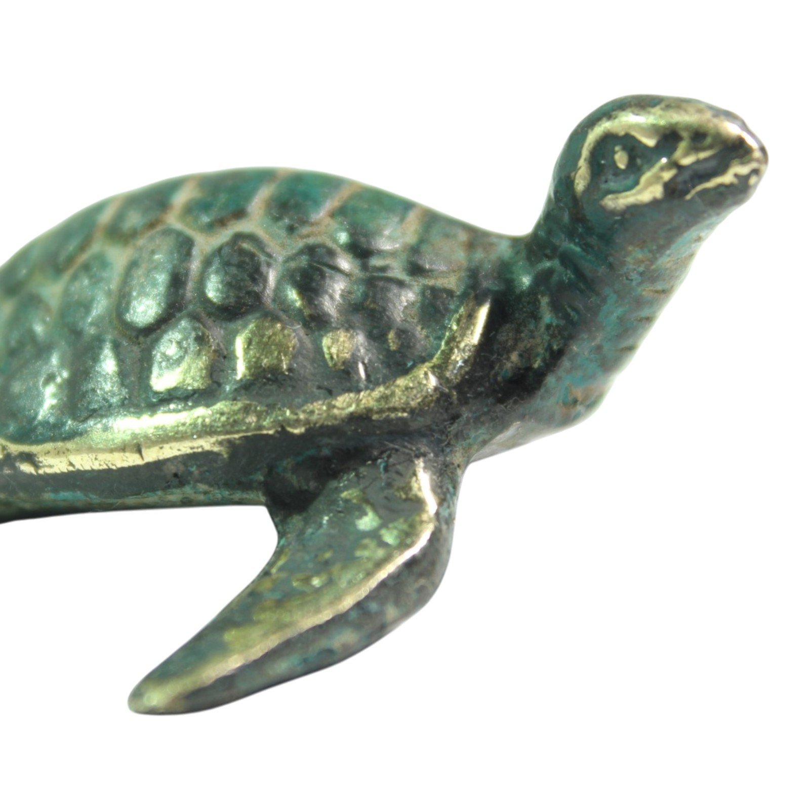 Close-up of turtle's head and shell edge showing casting texture and patina