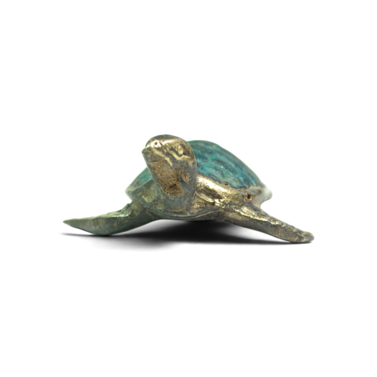 Close-up front view of brass turtle showing head, eyes, and flippers