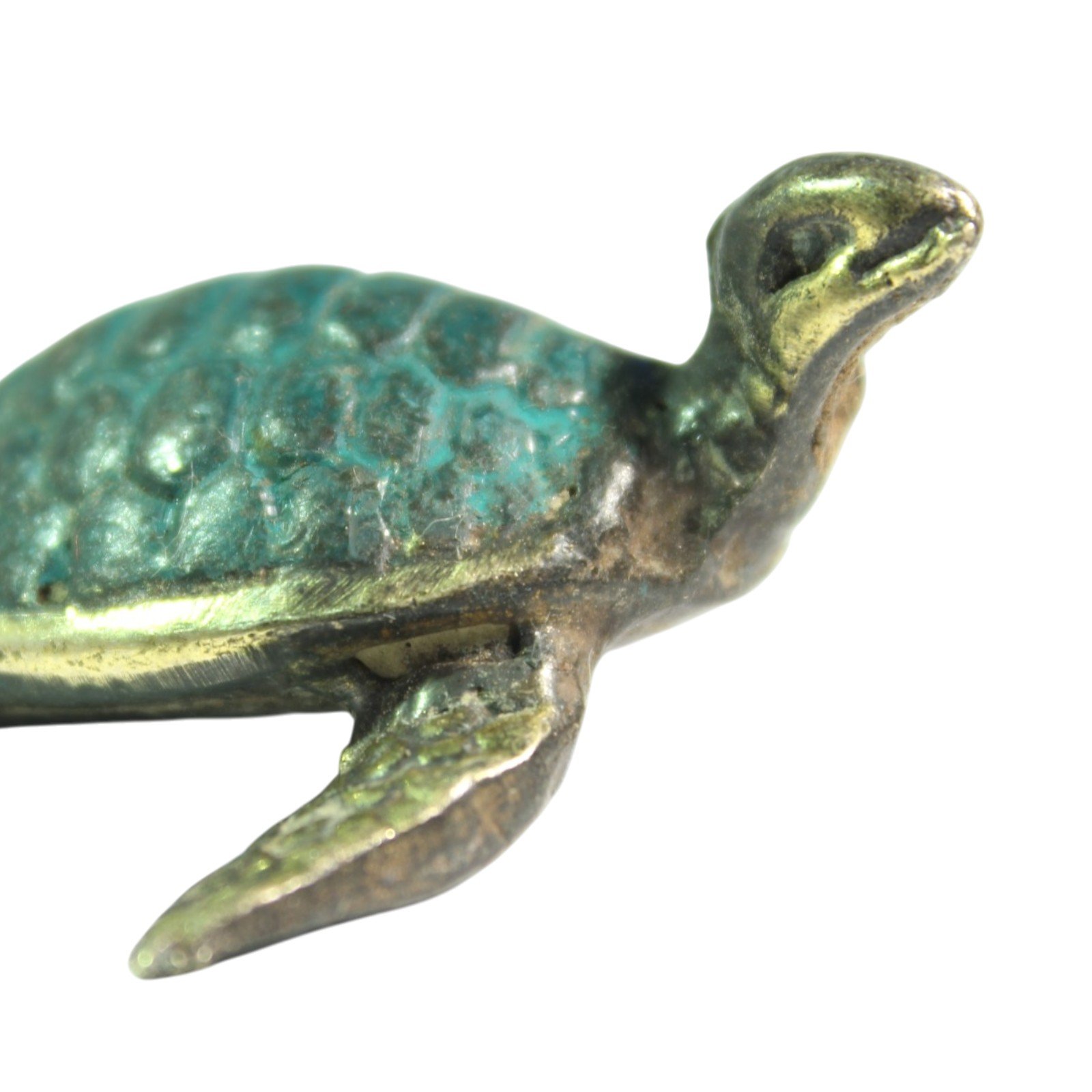 Close-up of turtle's head and shell edge showing brass and teal patina detail