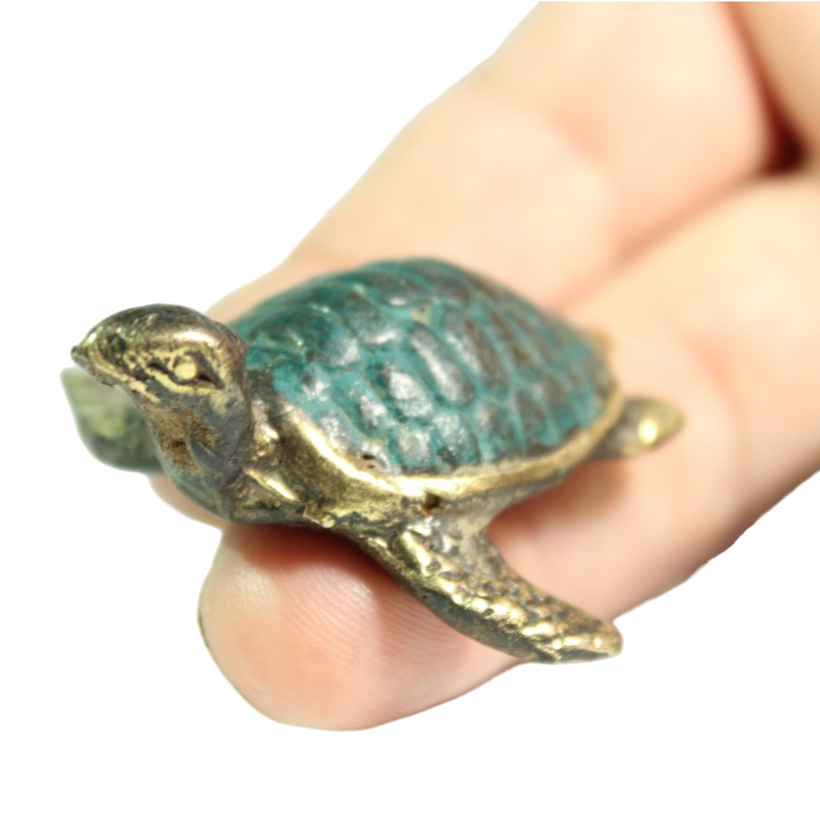 Close-up of brass turtle held between fingers showing fine detail on head and shell