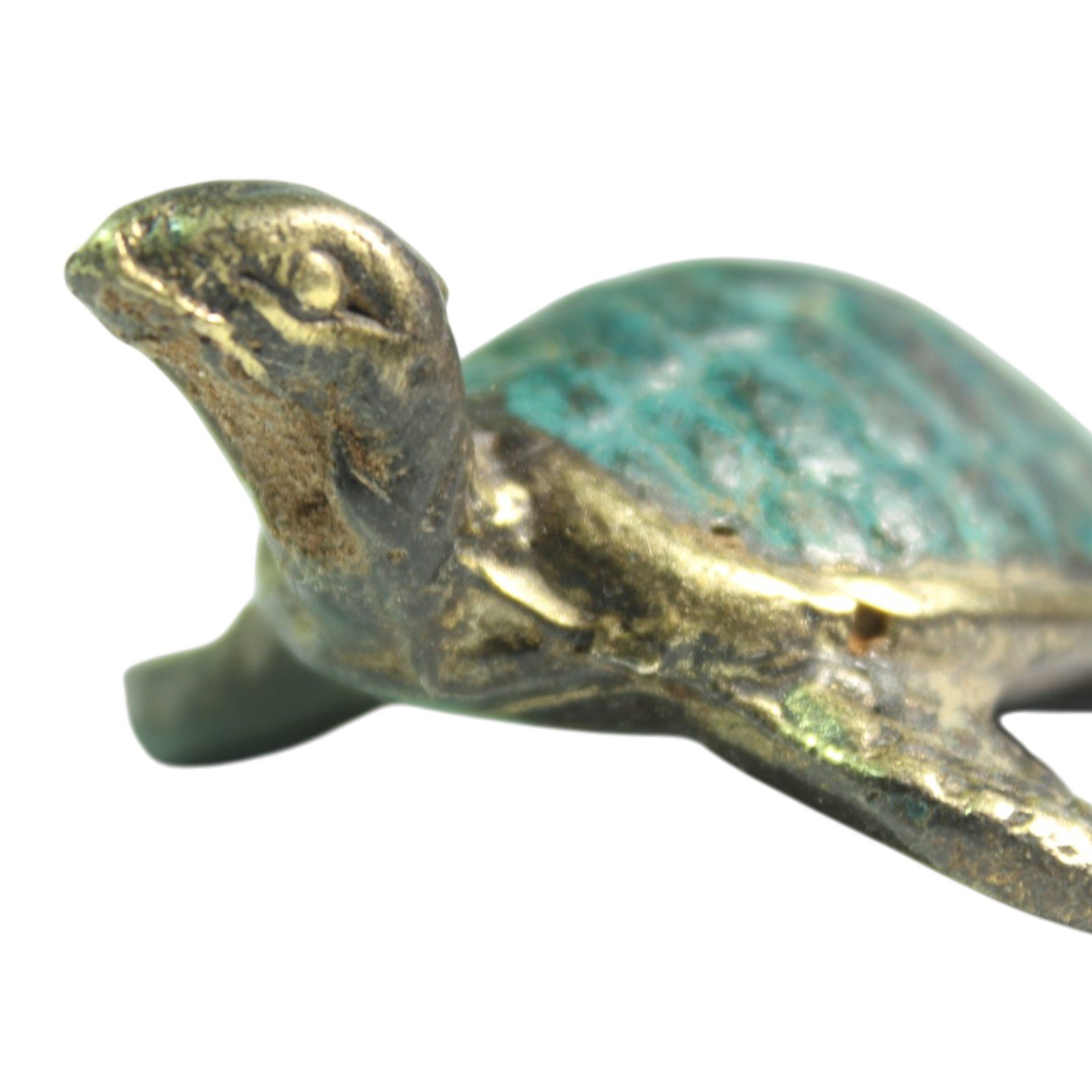 Close-up of turtle's shell texture and small casting marks on the underside