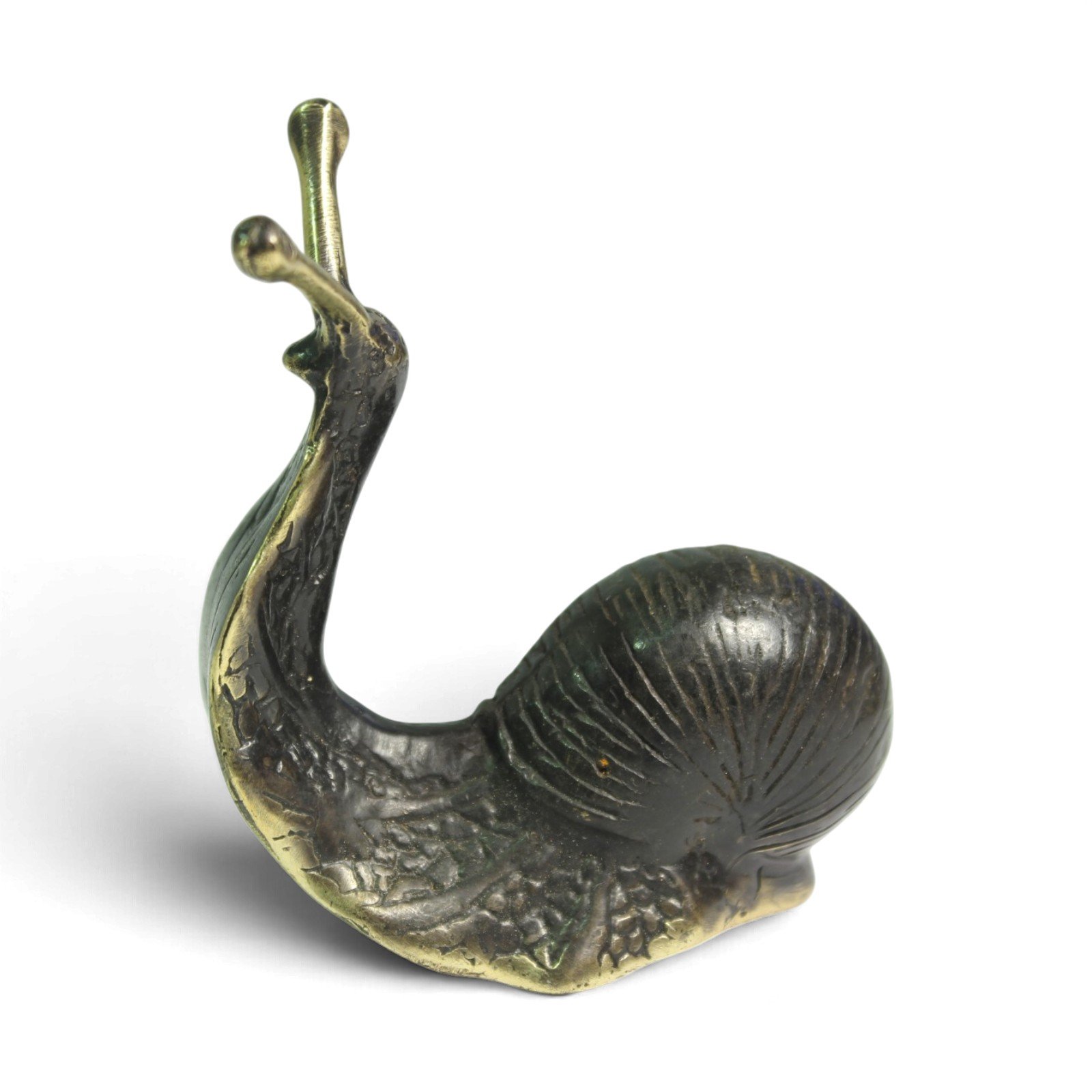 Rear view of brass snail figurine showing curved shell and neck against white background