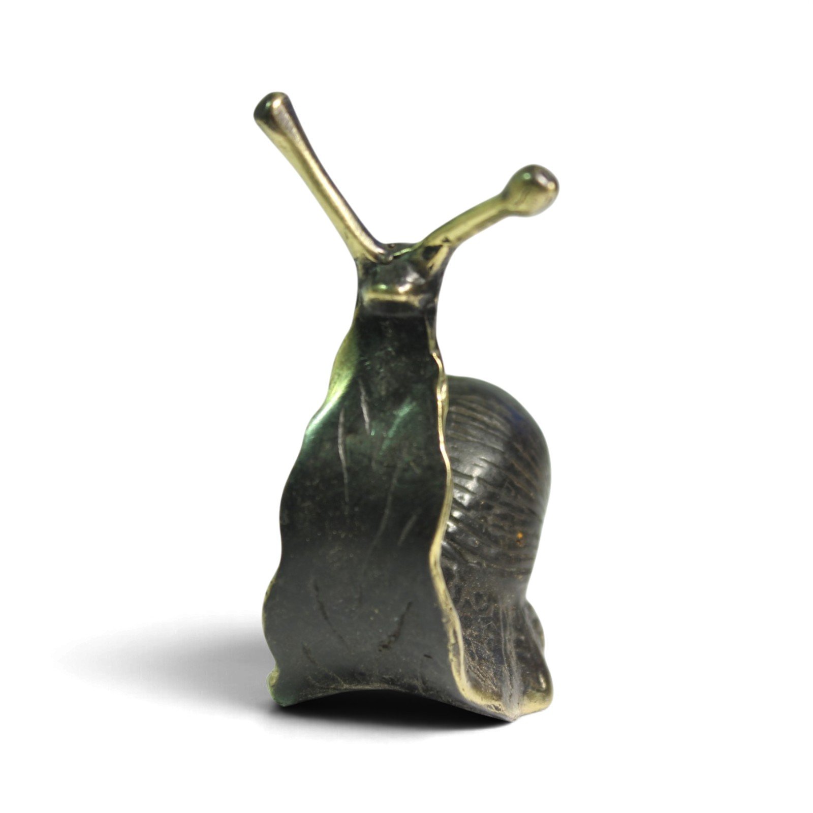 Brass snail figurine viewed head-on showing raised neck and textured shell