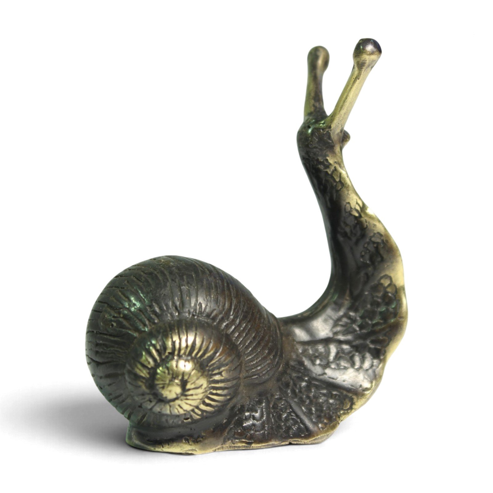 Side profile of brass snail figurine with black-oxidized finish and gold brass edges