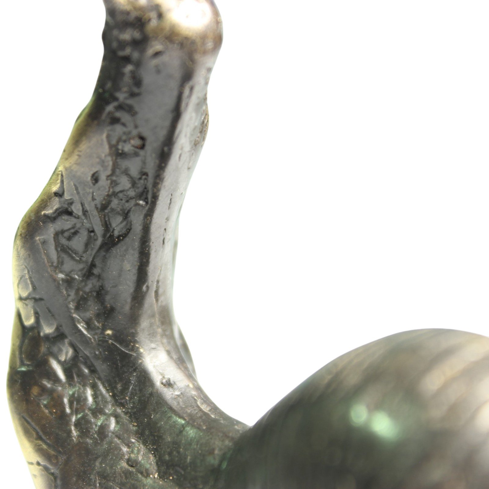 Macro close-up of brass snail's neck texture and shell edge showing casting marks