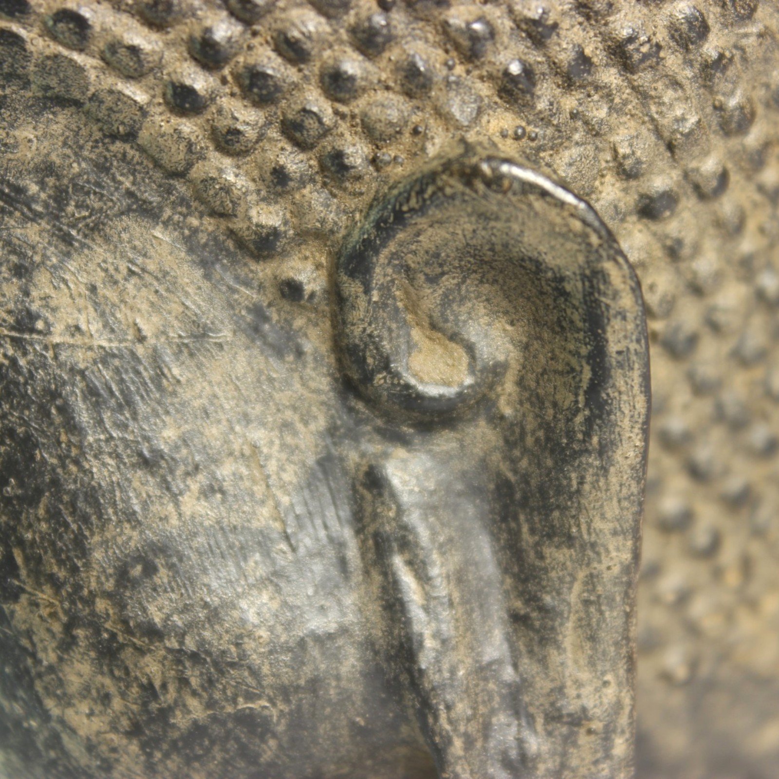 Close-up of the elongated earlobe and curl pattern near the head