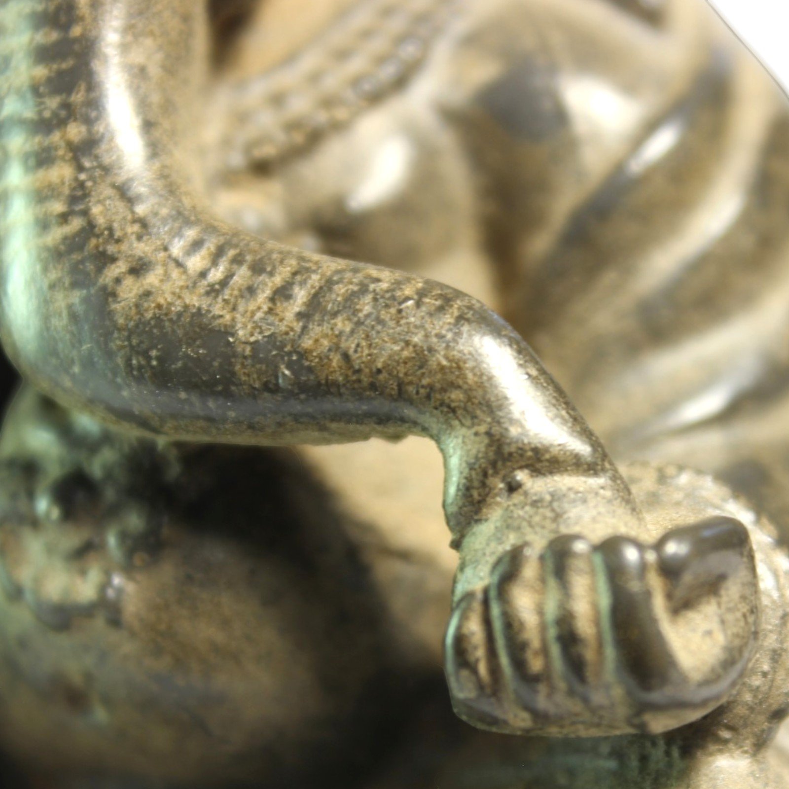 Close-up of clenched hand resting on lotus base with texture detail
