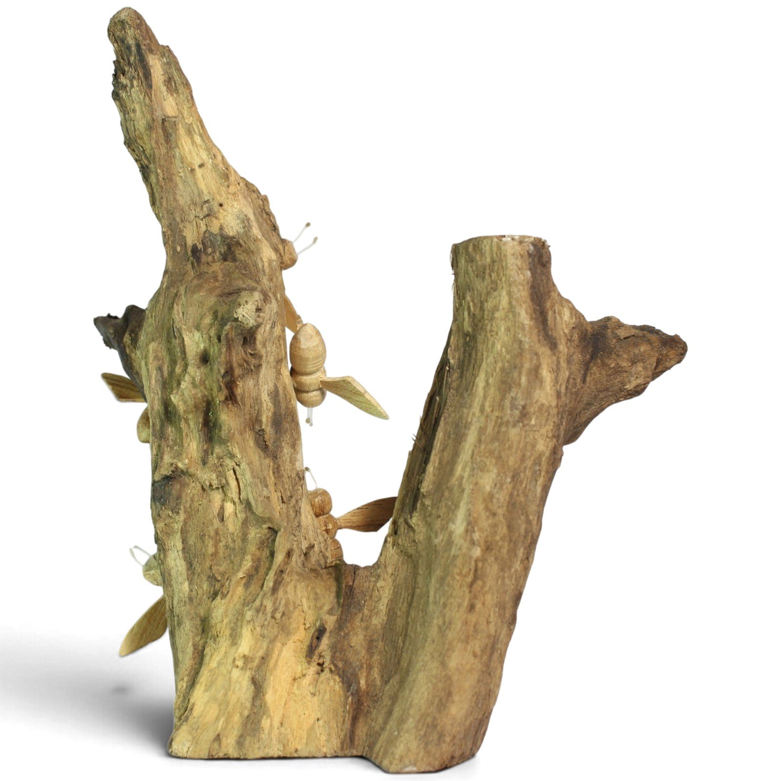Side view showing the natural shape and bark texture of the parasite wood base
