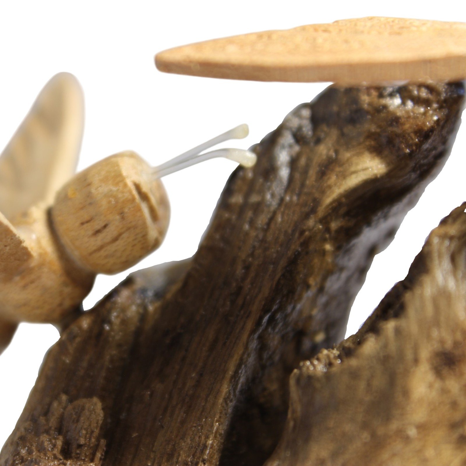 Detail shot of a bee's wire antennae resting against the carved wood grain