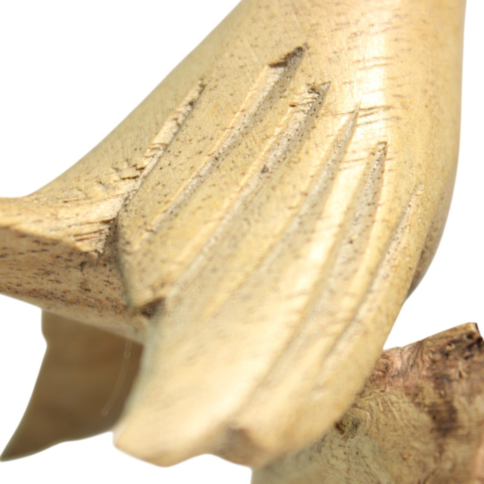 Hand-carved wooden bird perched over a rippled parasite wood base, side wing view