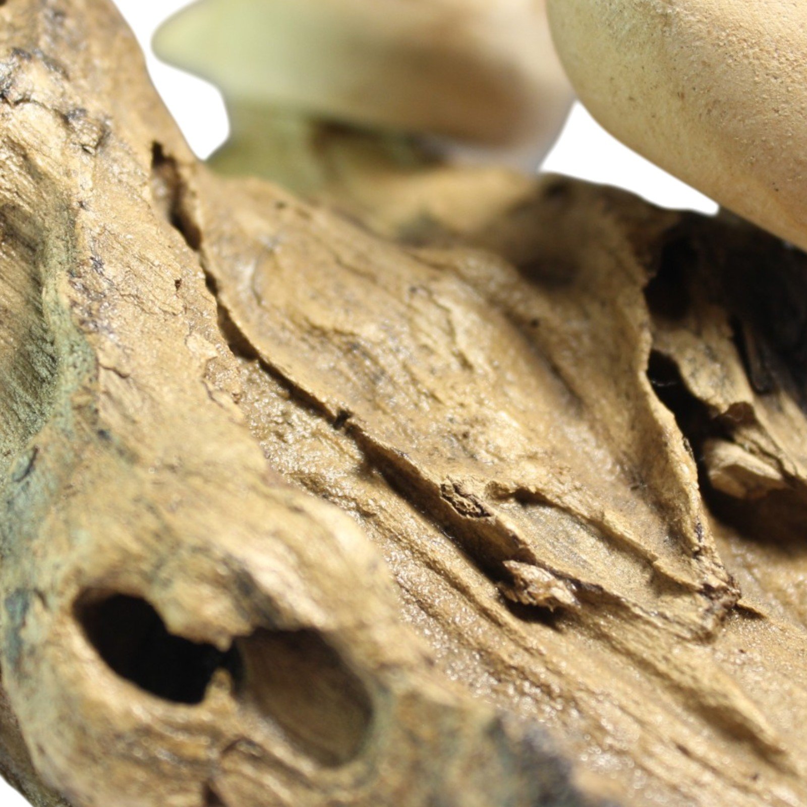 Close-up of the textured parasite wood base beneath the three duks