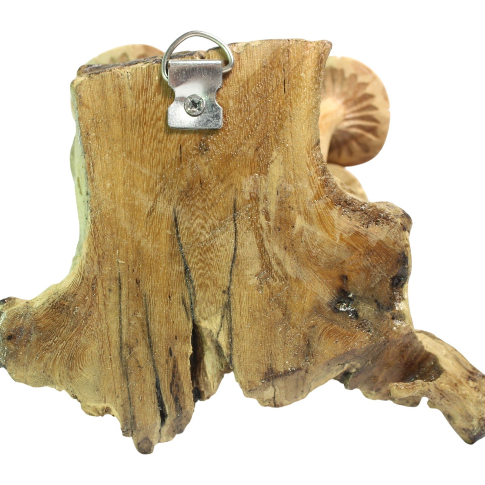 Back view of the parasite wood base showing wood grain and hanging bracket
