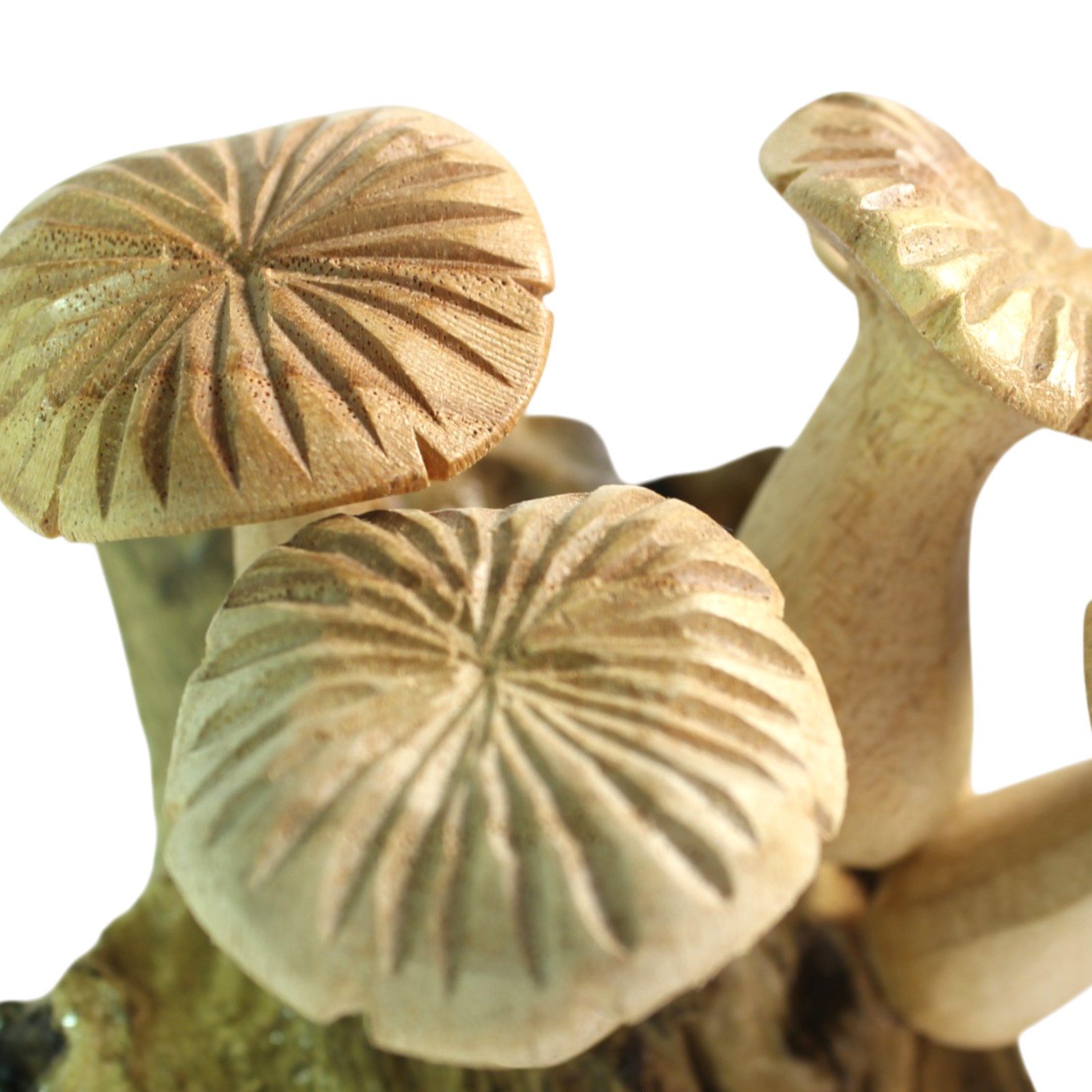 Close-up of hand-carved mushroom caps showing radiating gill detail