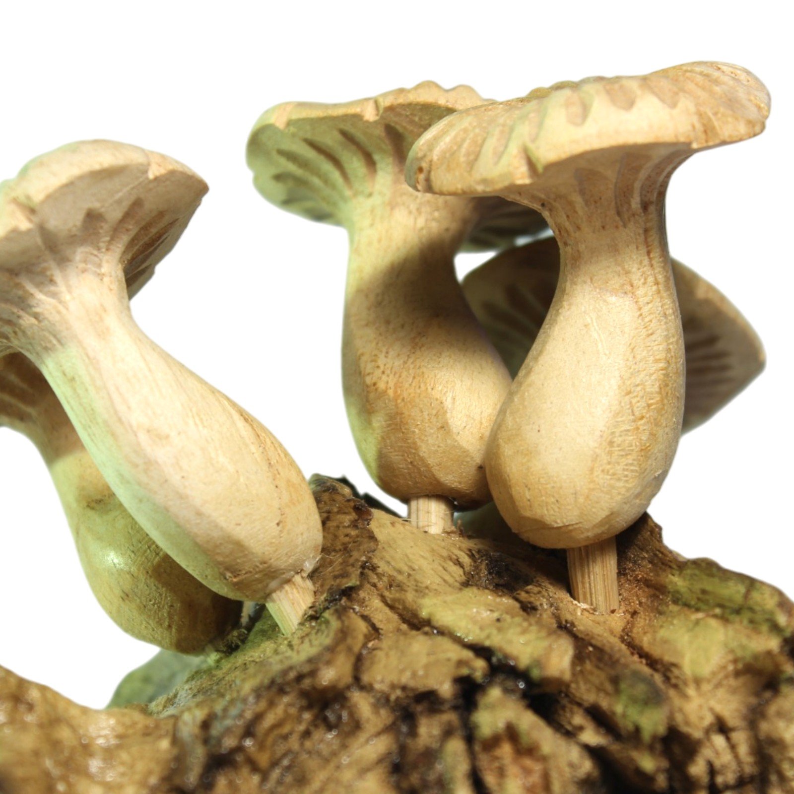 Overhead close-up of carved mushroom caps clustered together on the wood base