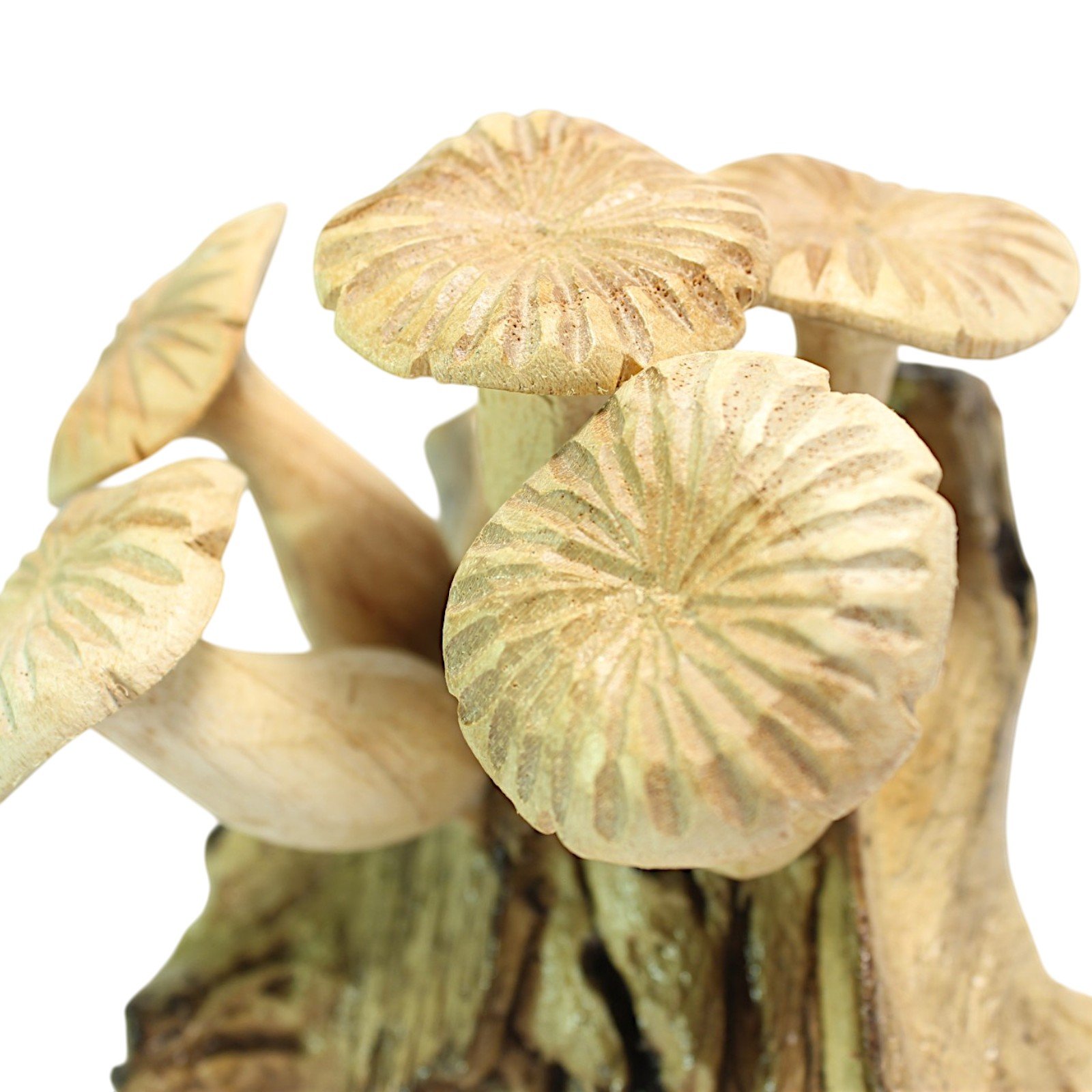 Overhead close-up of carved mushroom caps clustered together on the wood base