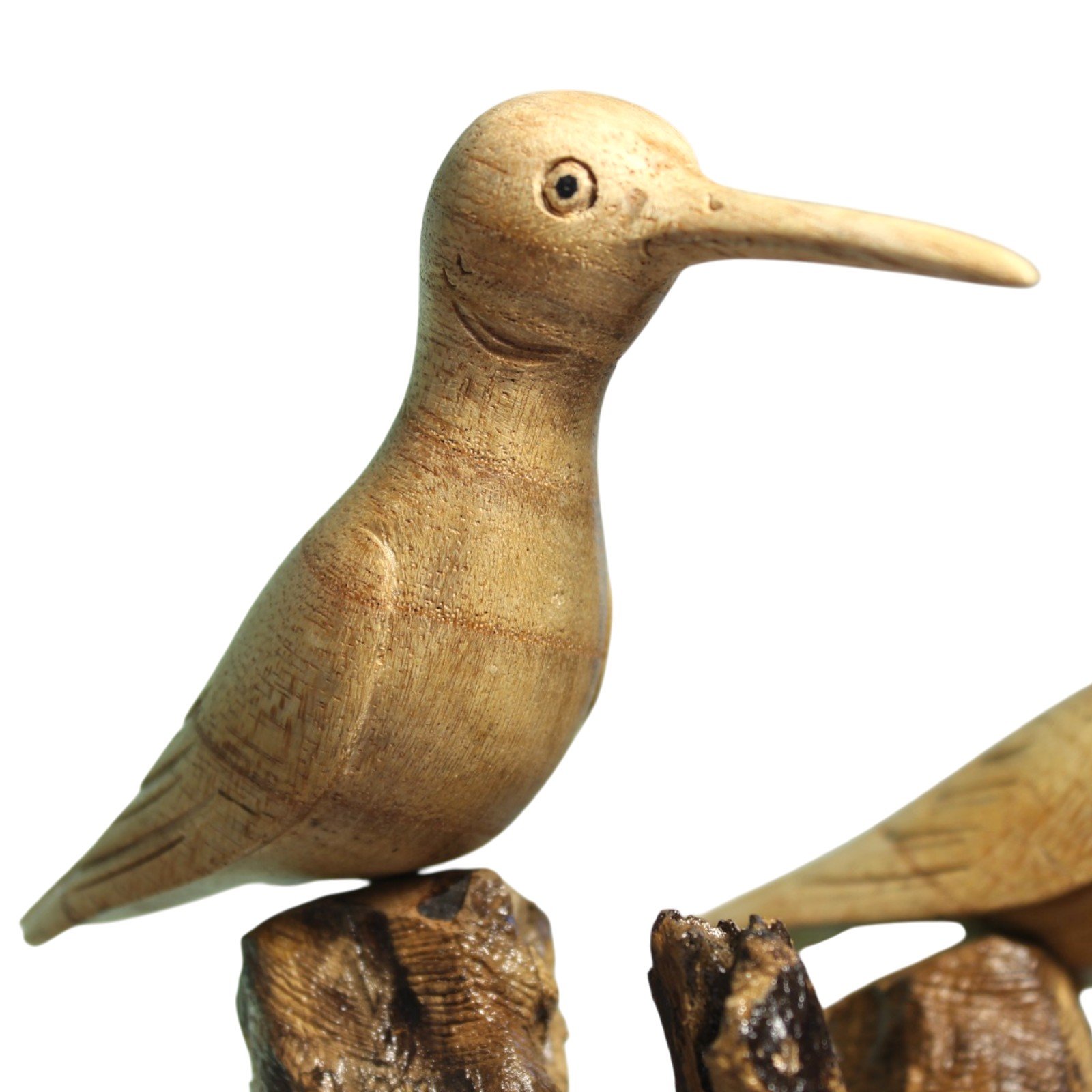 Close-up of one carved bird's head, beak, and painted eye