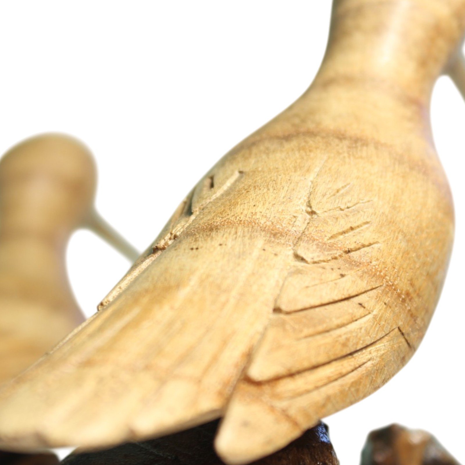 Macro shot of hand-tool marks in the carved wing feathers