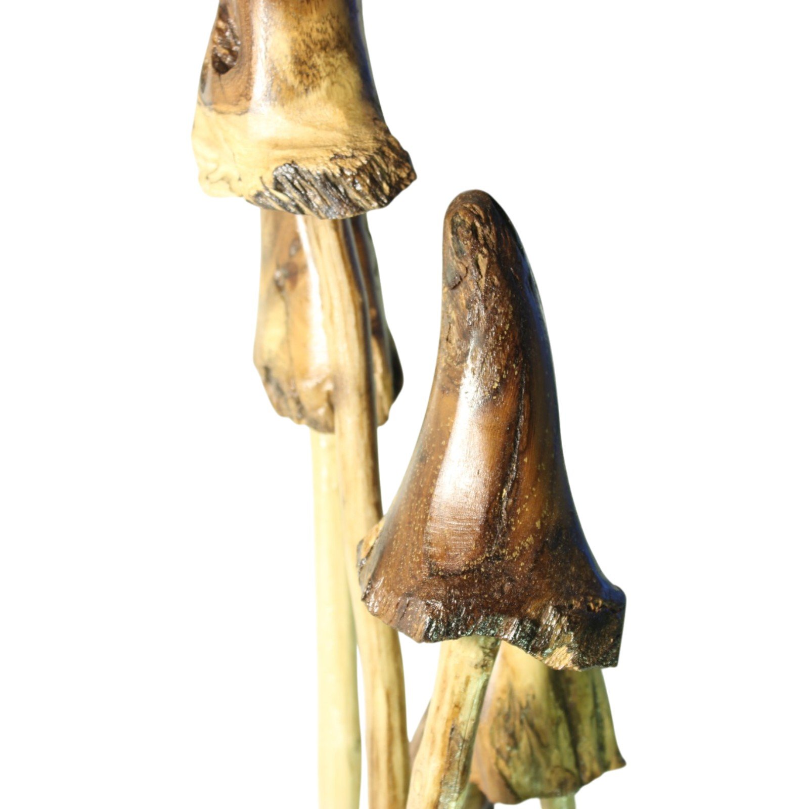 Detail shot showing carving texture and grain on two mushroom caps