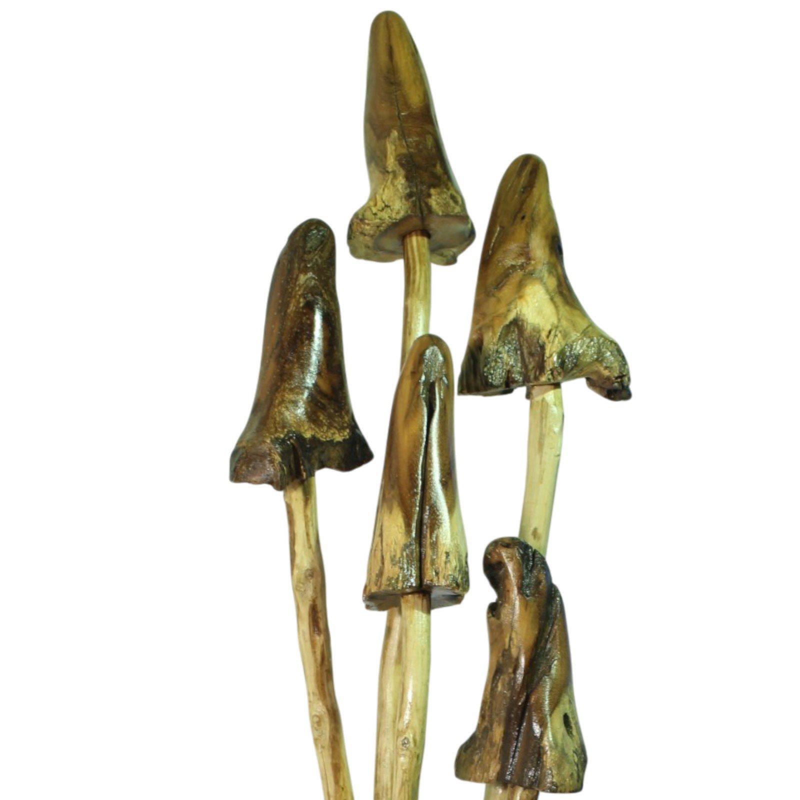 Close-up of five carved mushroom caps atop their stems
