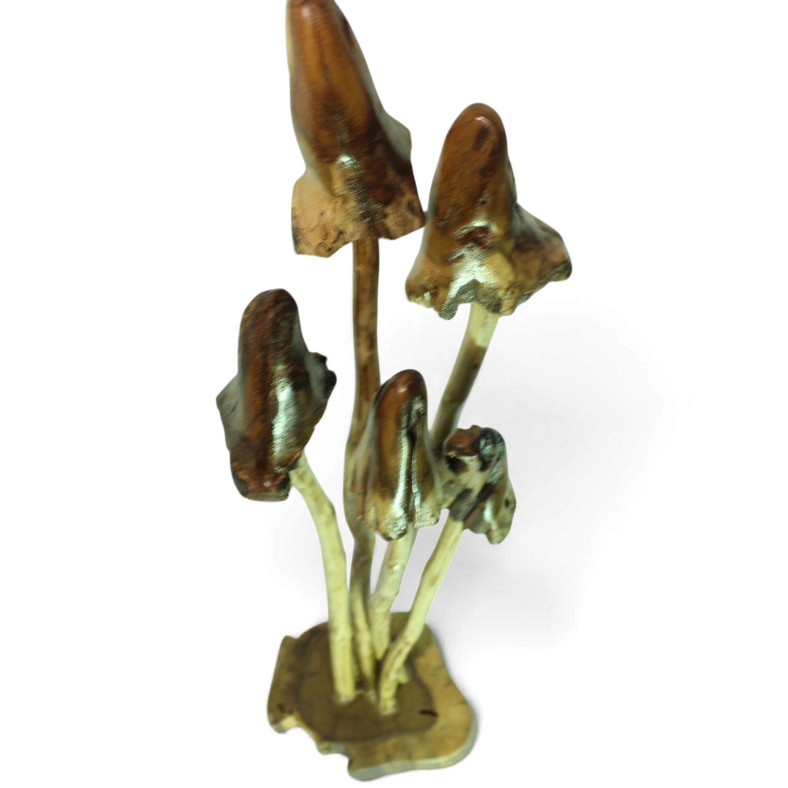 Top-down angle showing the full cluster and wooden base