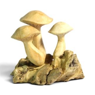 Hand-carved wooden mushroom trio on a natural parasite wood base, front angle