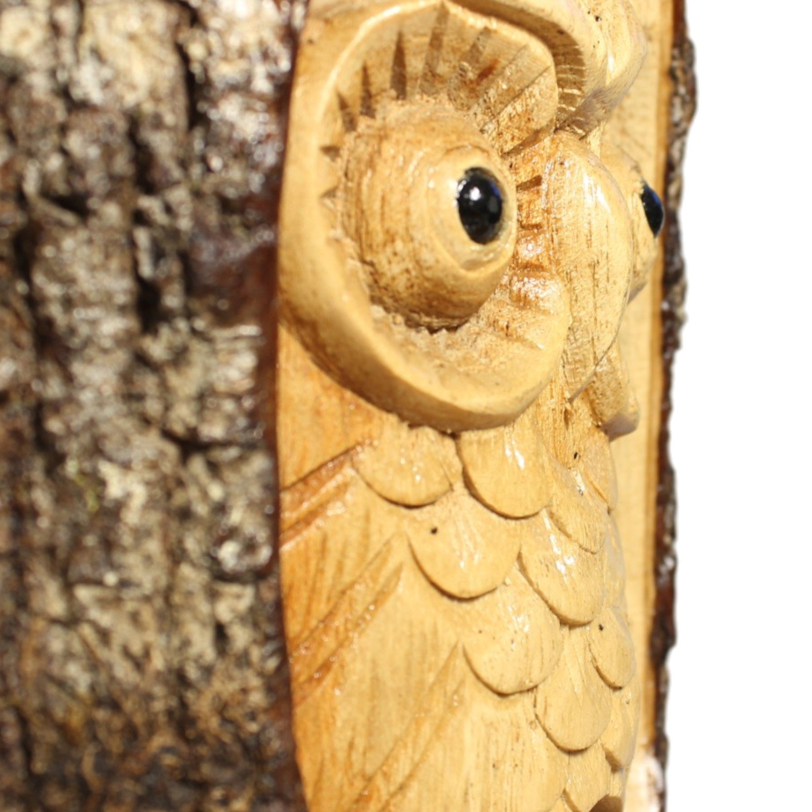 Owl carving shown from an angle, half bark and half painted owl face visible