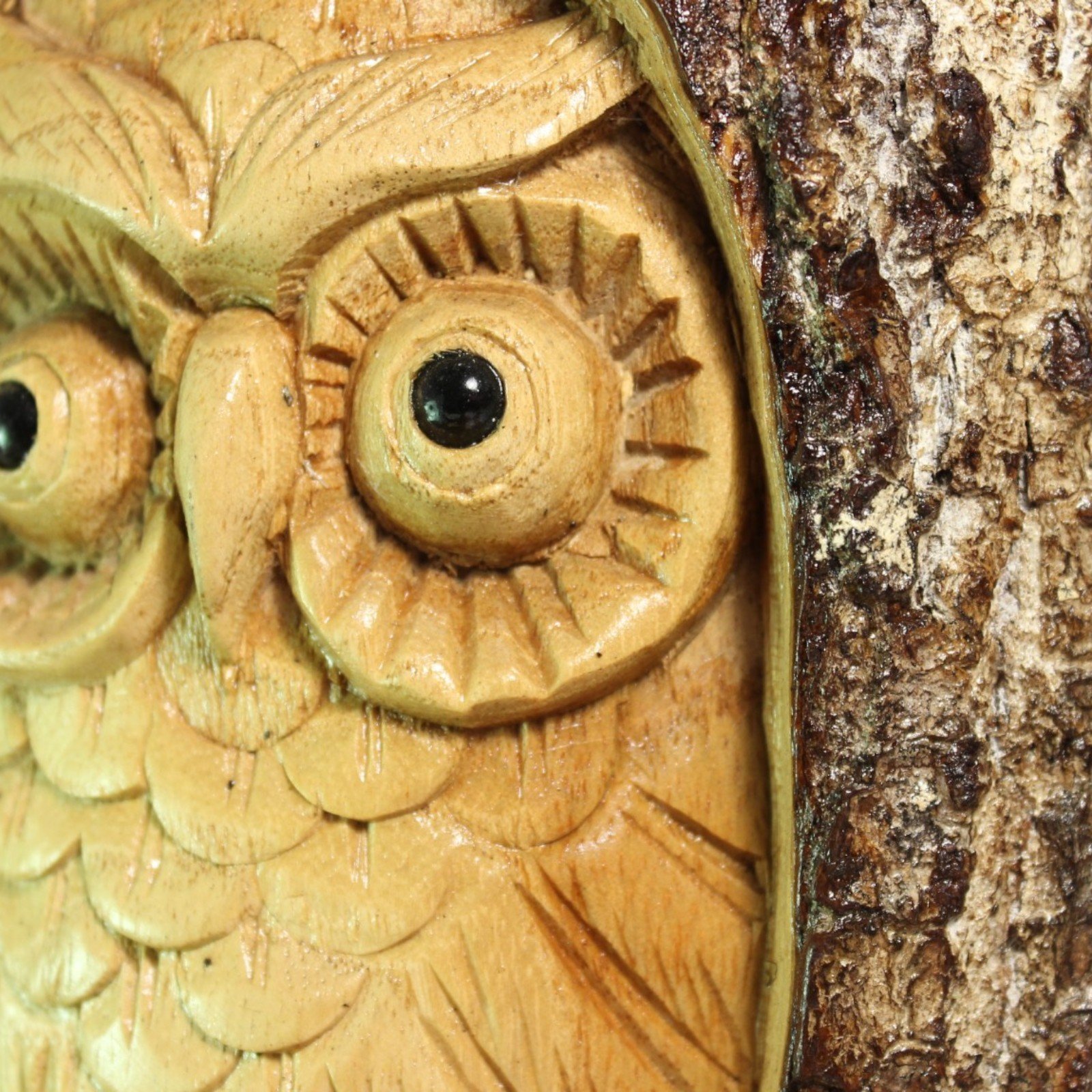 Close-up of the owl's carved eyes with glass detail and feather tool marks