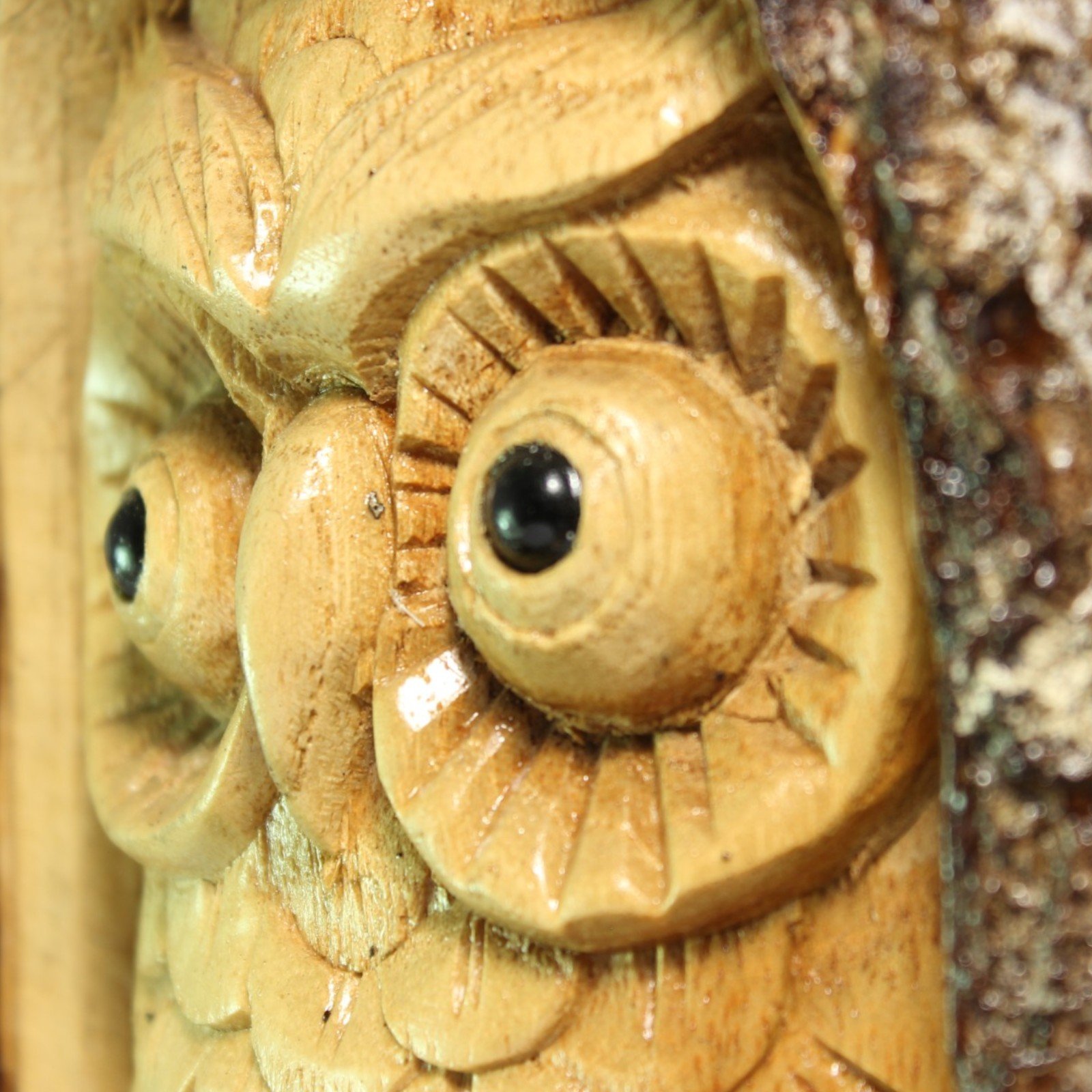 Macro shot of the owl's eye showing carved rays and glossy finish