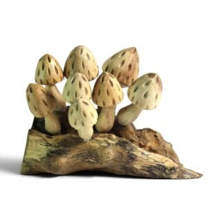 Hand-carved wooden mushroom cluster growing from a natural parasite wood base, front view
