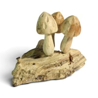 Hand-carved wooden mushroom trio standing on a natural parasite wood base