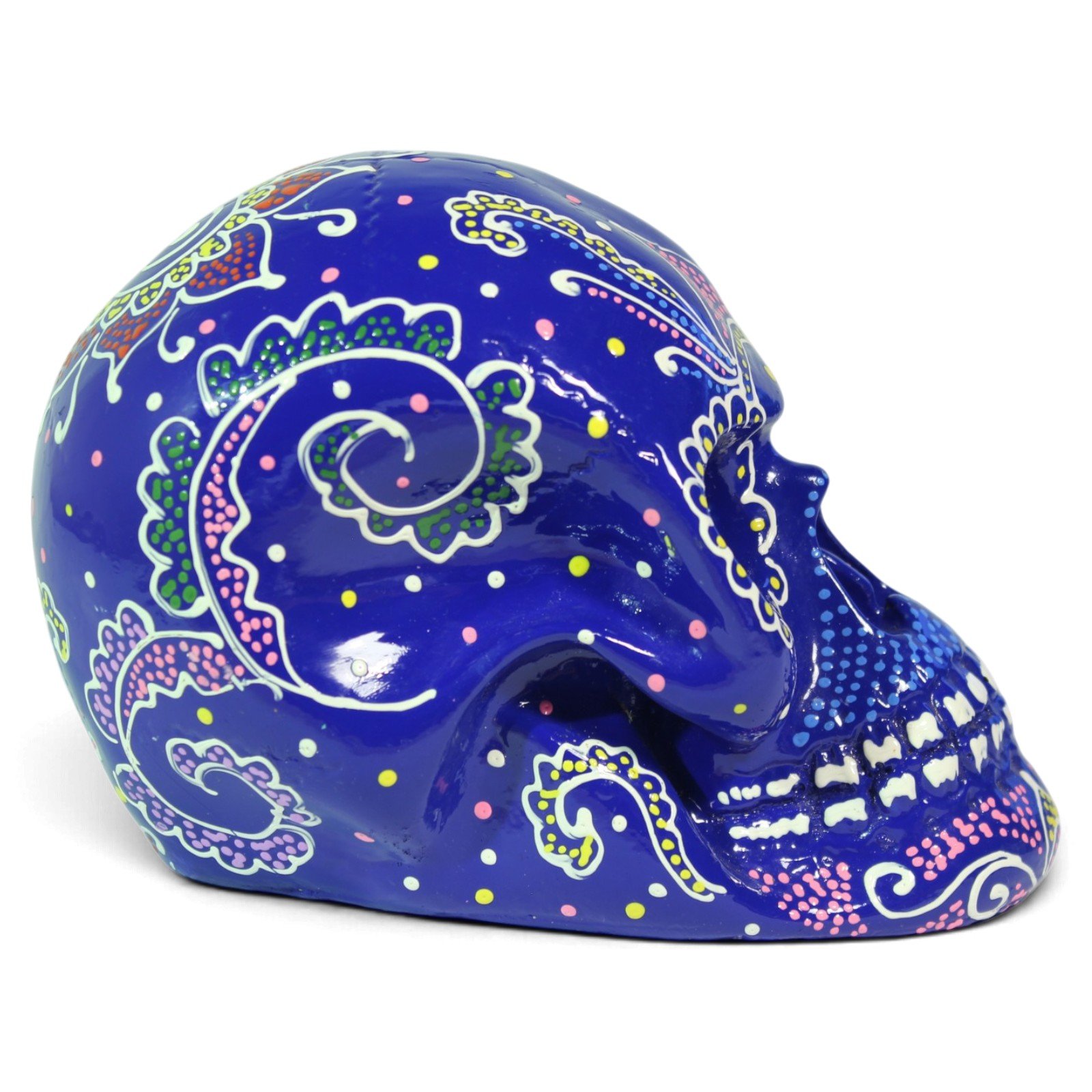Left side view of the skull showing colorful swirl patterns along the cranium