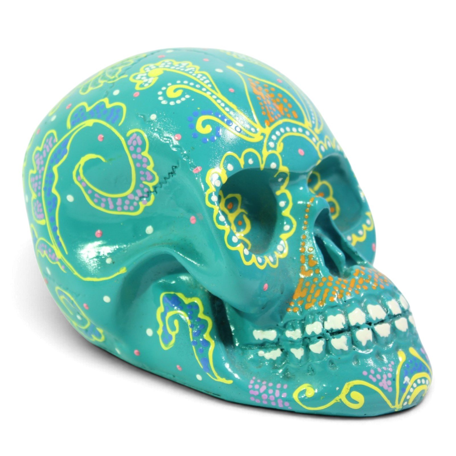 Three-quarter view of the skull highlighting eye socket and jaw detailing