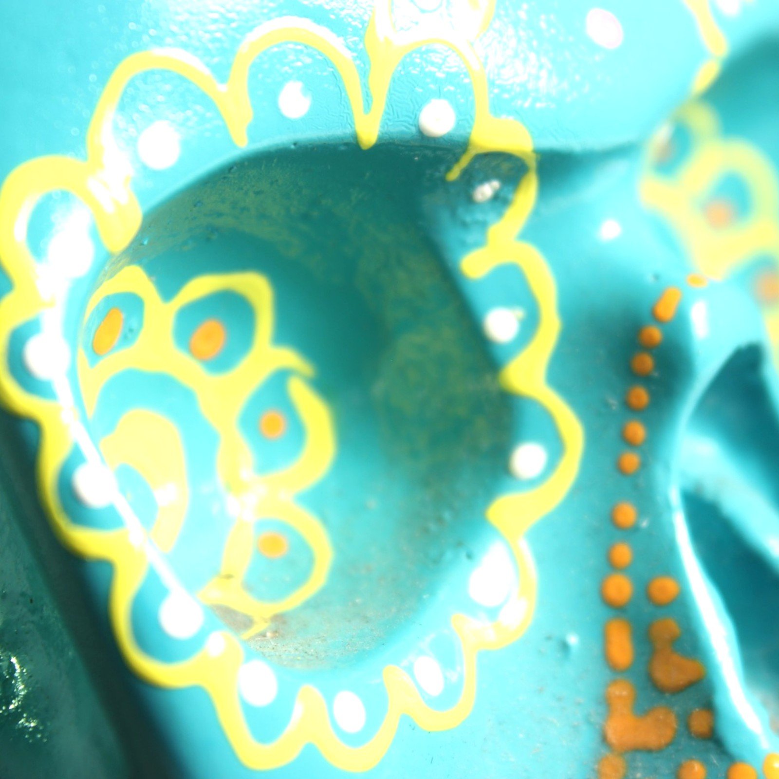 Macro shot inside the eye socket showing painted floral ring detail