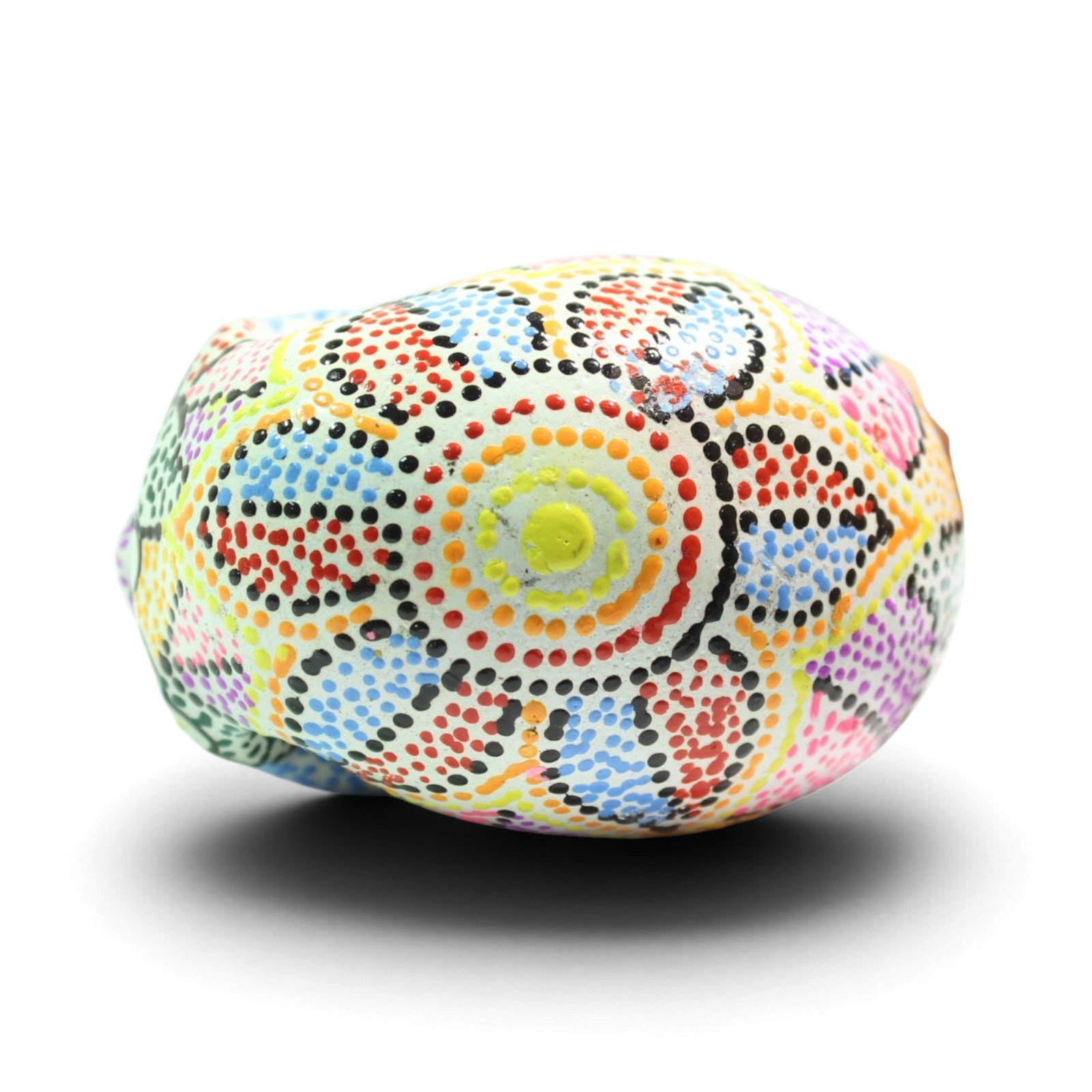 Back view of the skull showing concentric dotted circle design