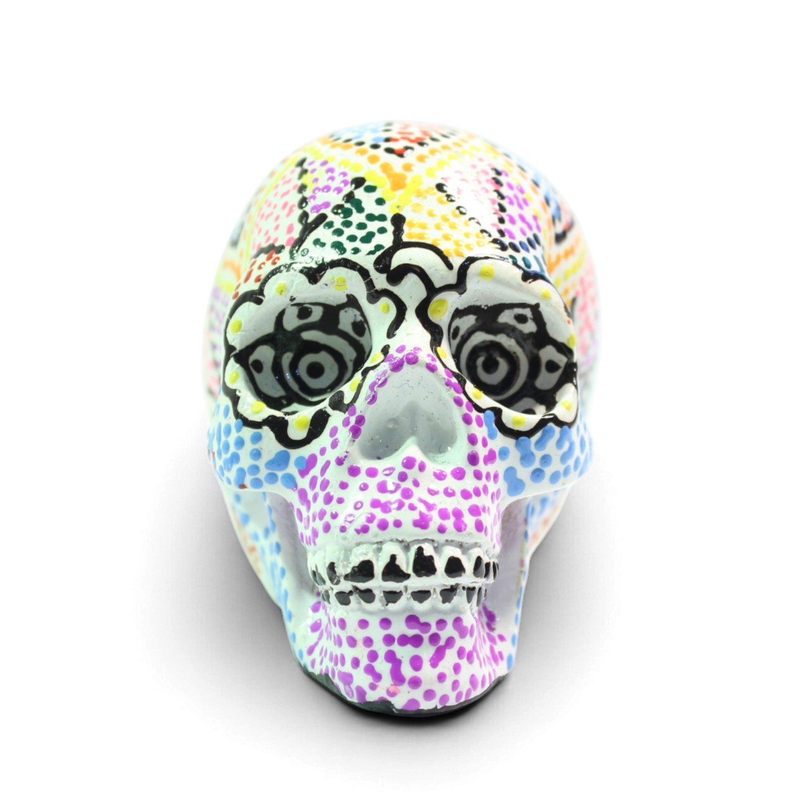 Straight-on front view of the skull with both eye sockets and teeth visible
