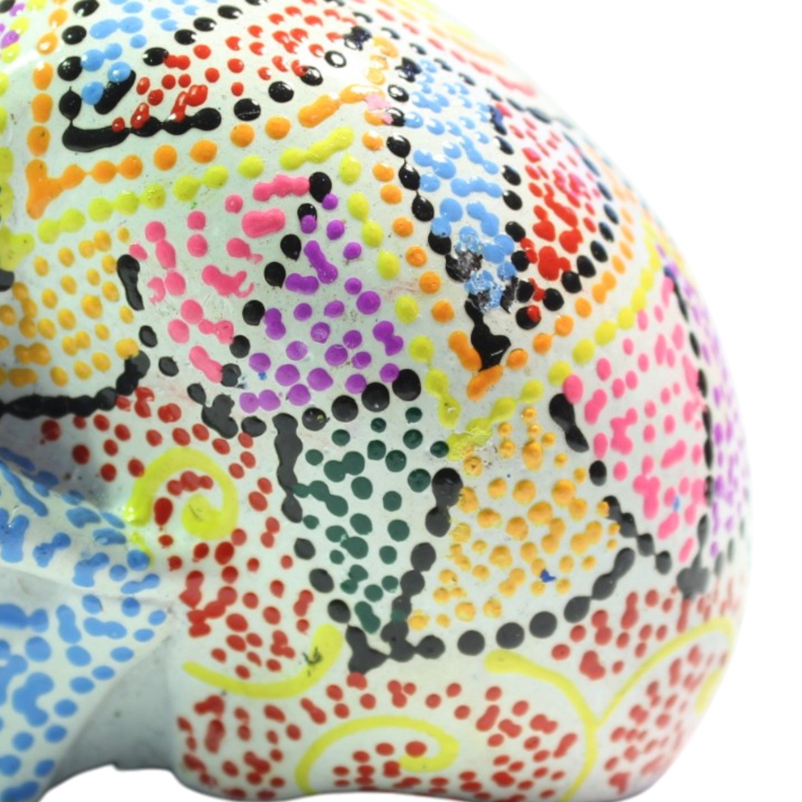 Close-up of the crown of the skull showing dense multicolor dot patterns